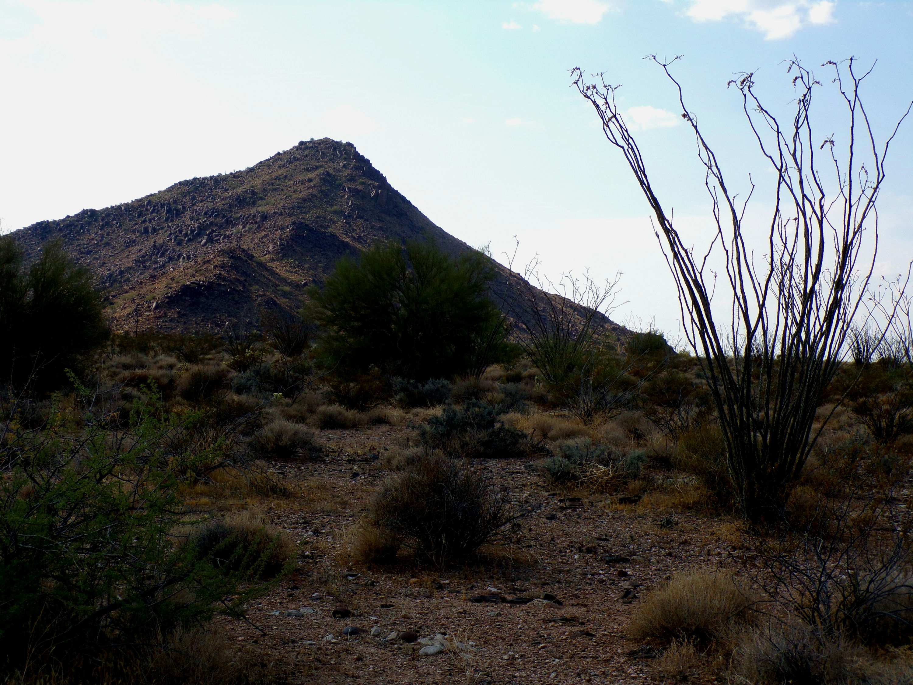 100_1332_DESERT.JPG