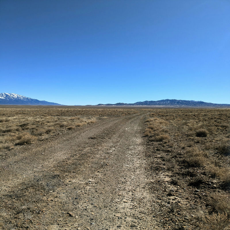 PXL_20250227_212853979.MP2_.jpg