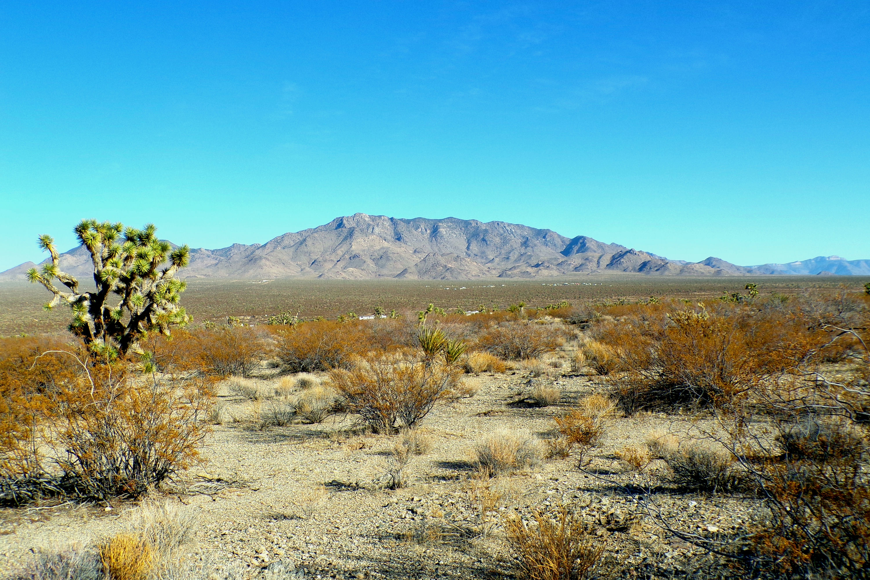 100_0885_DESERT.JPG
