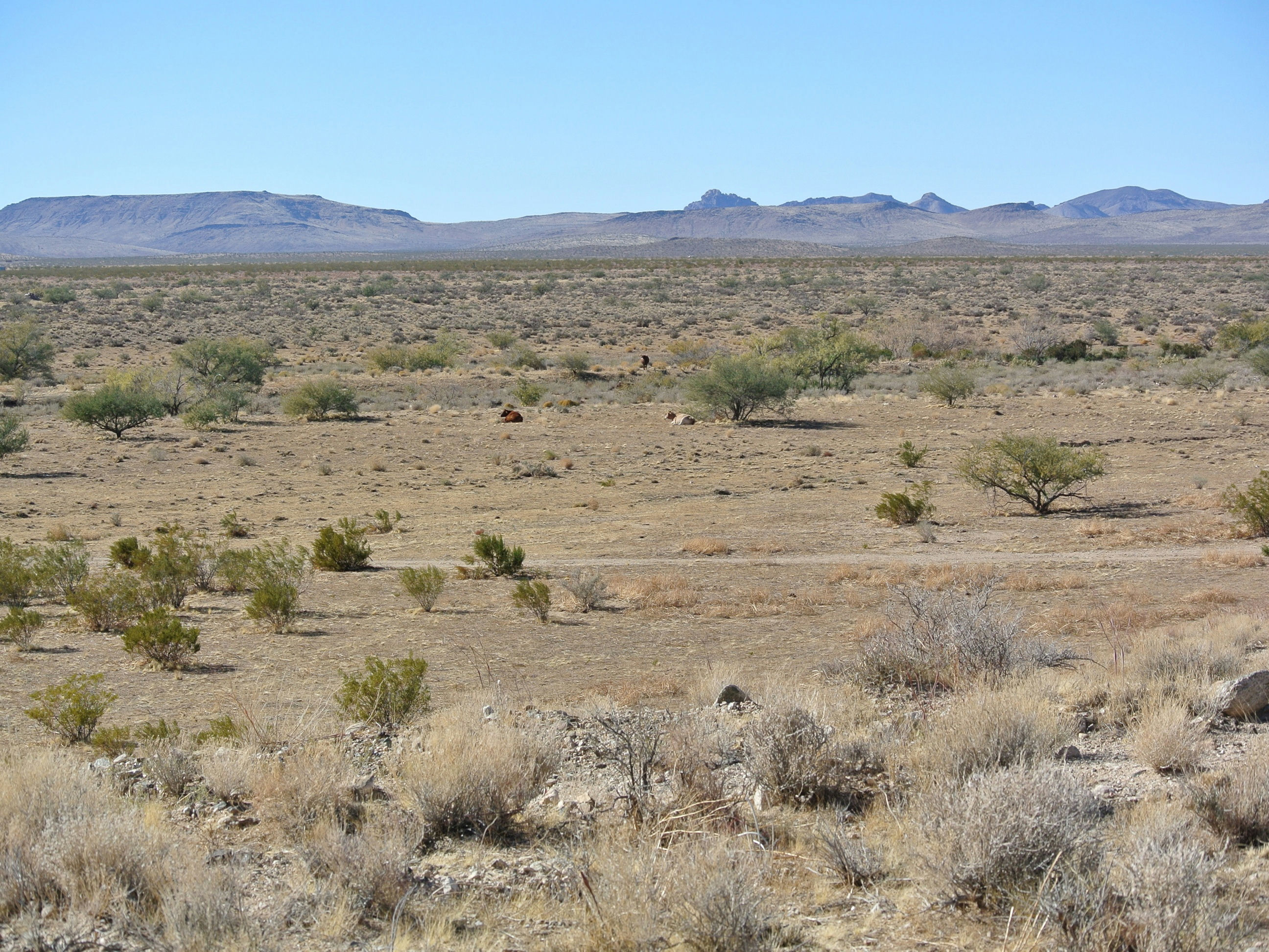 looking west from your property_CROP_LISTING.JPG