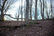 carousel-thumb-6
