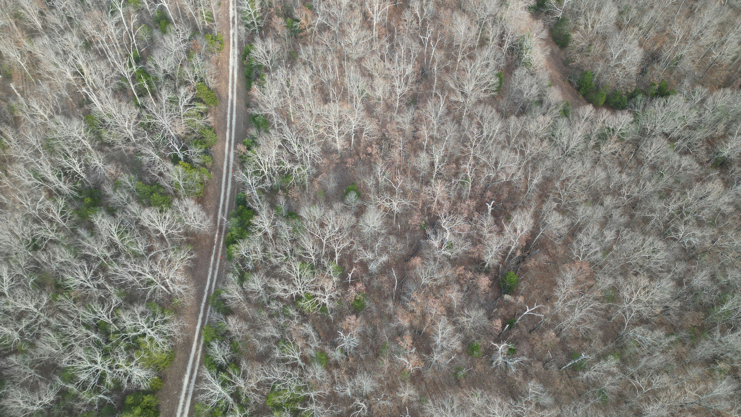 DJI_0018.JPG