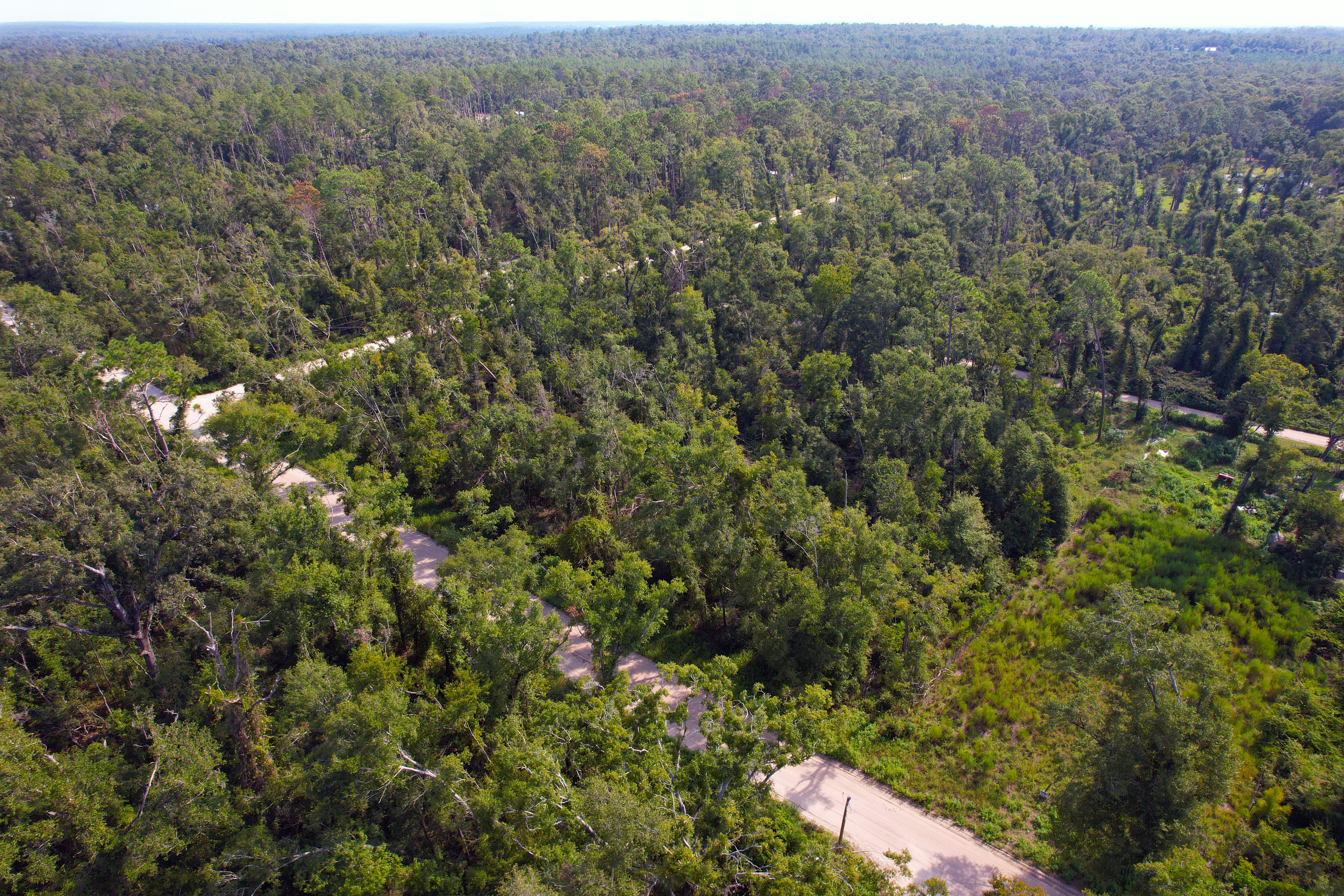 DJI_0294.jpg