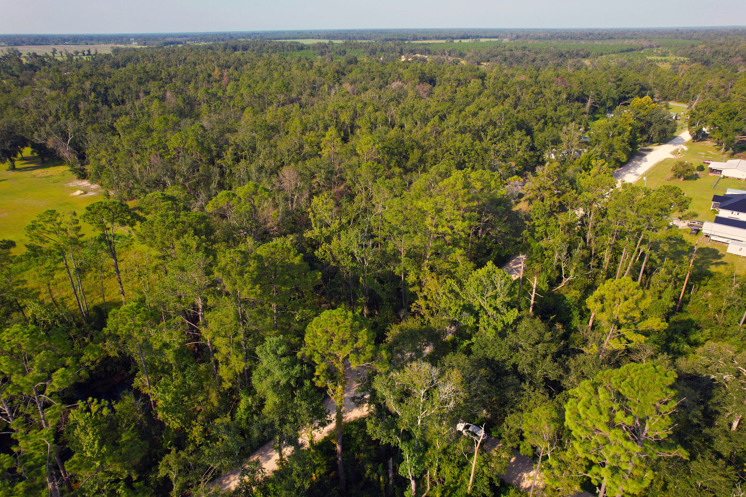 DJI_0214.jpg