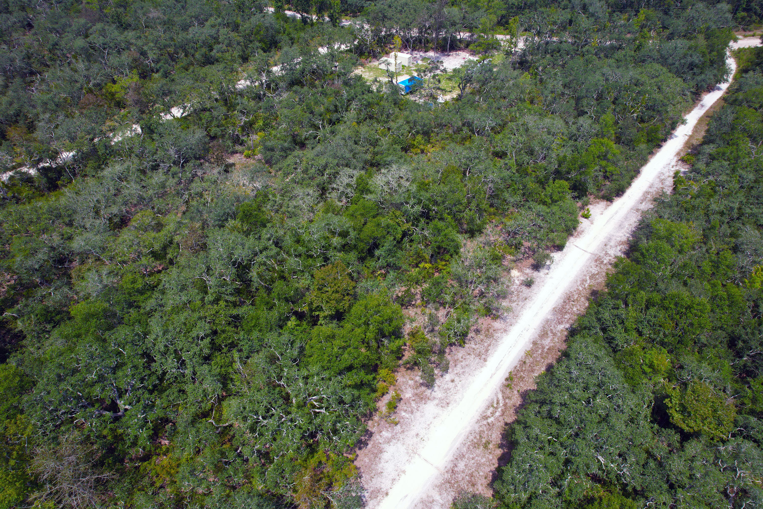 DJI_0559.jpg