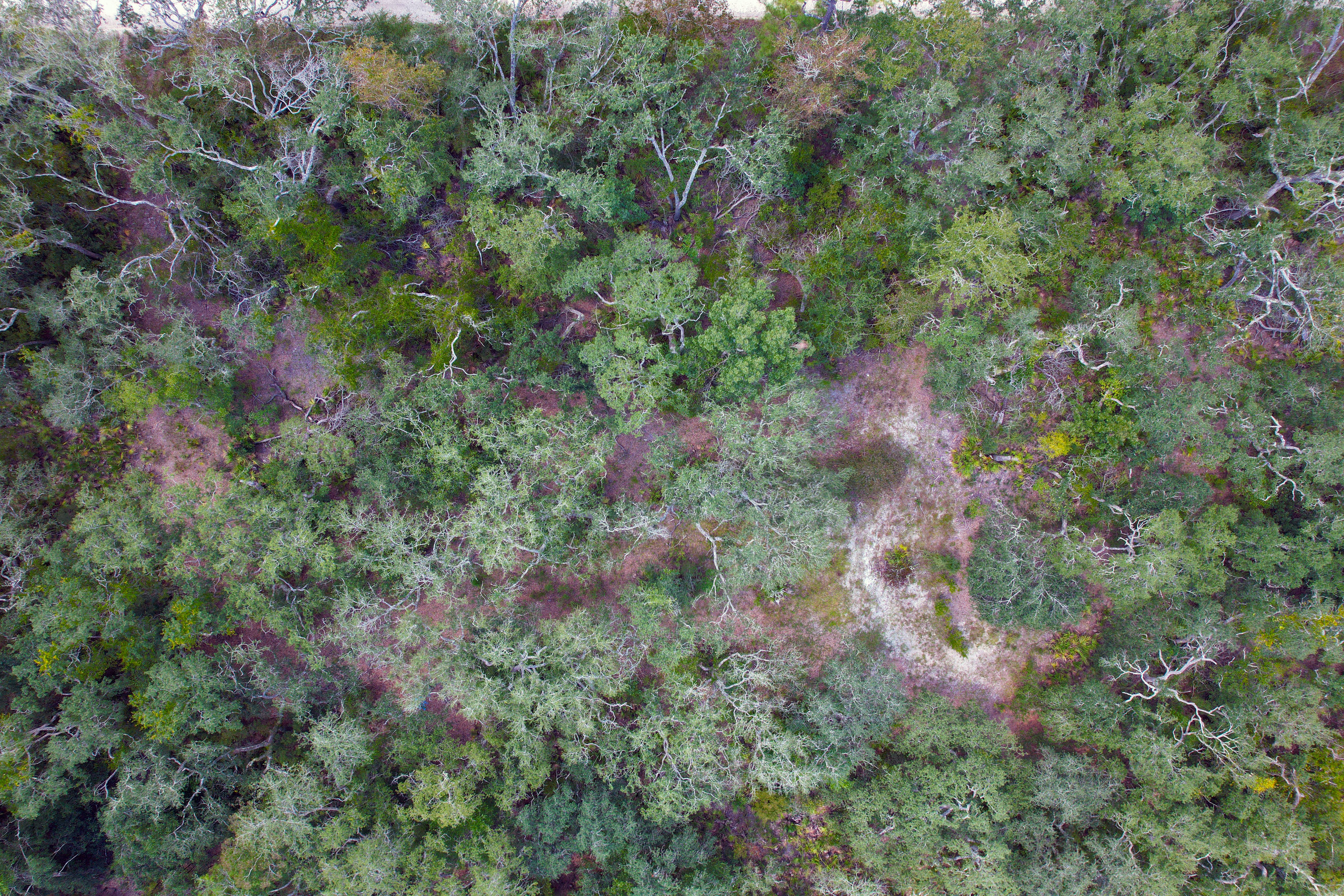 DJI_0617.jpg