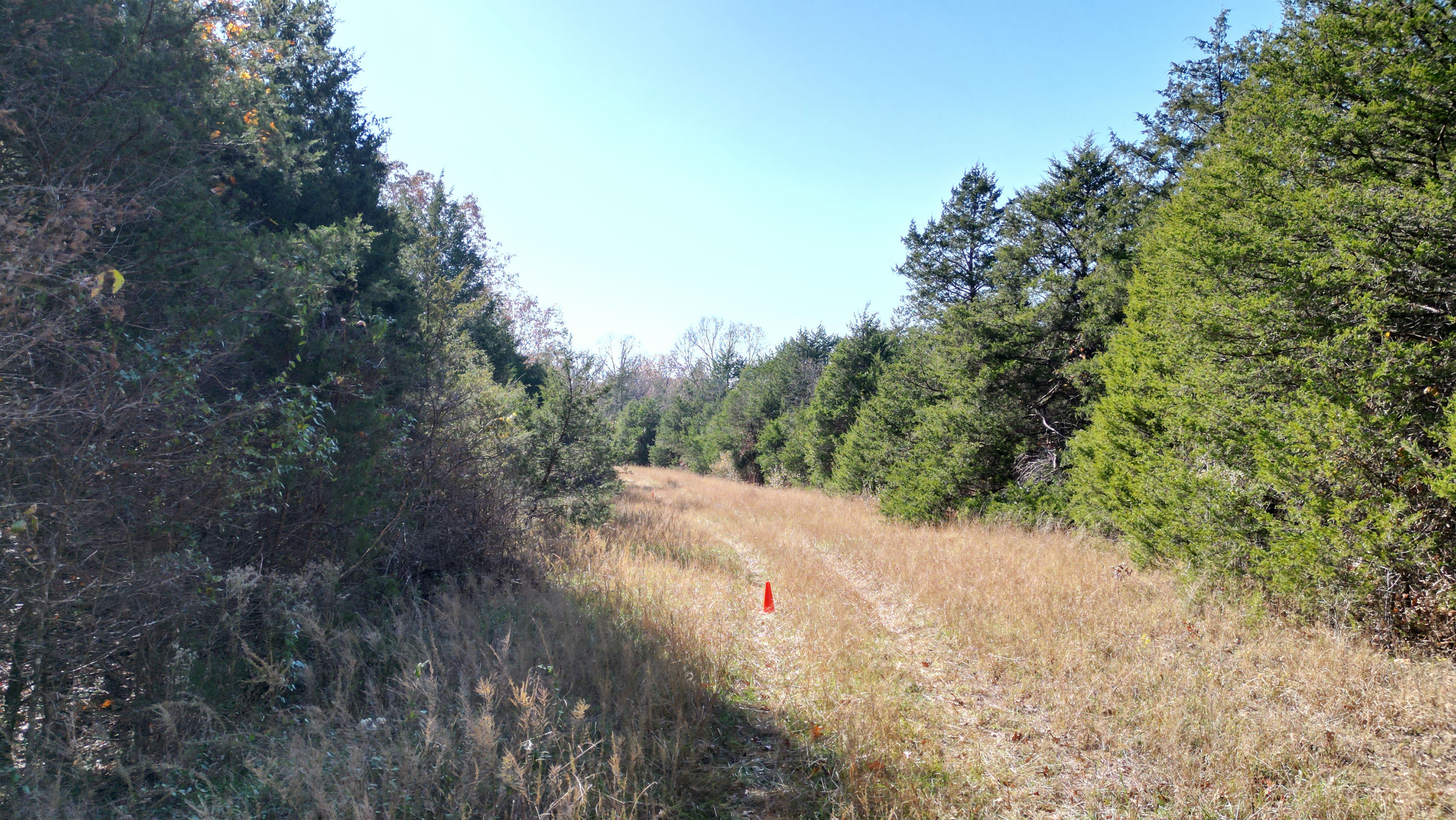 DJI_0881.JPG