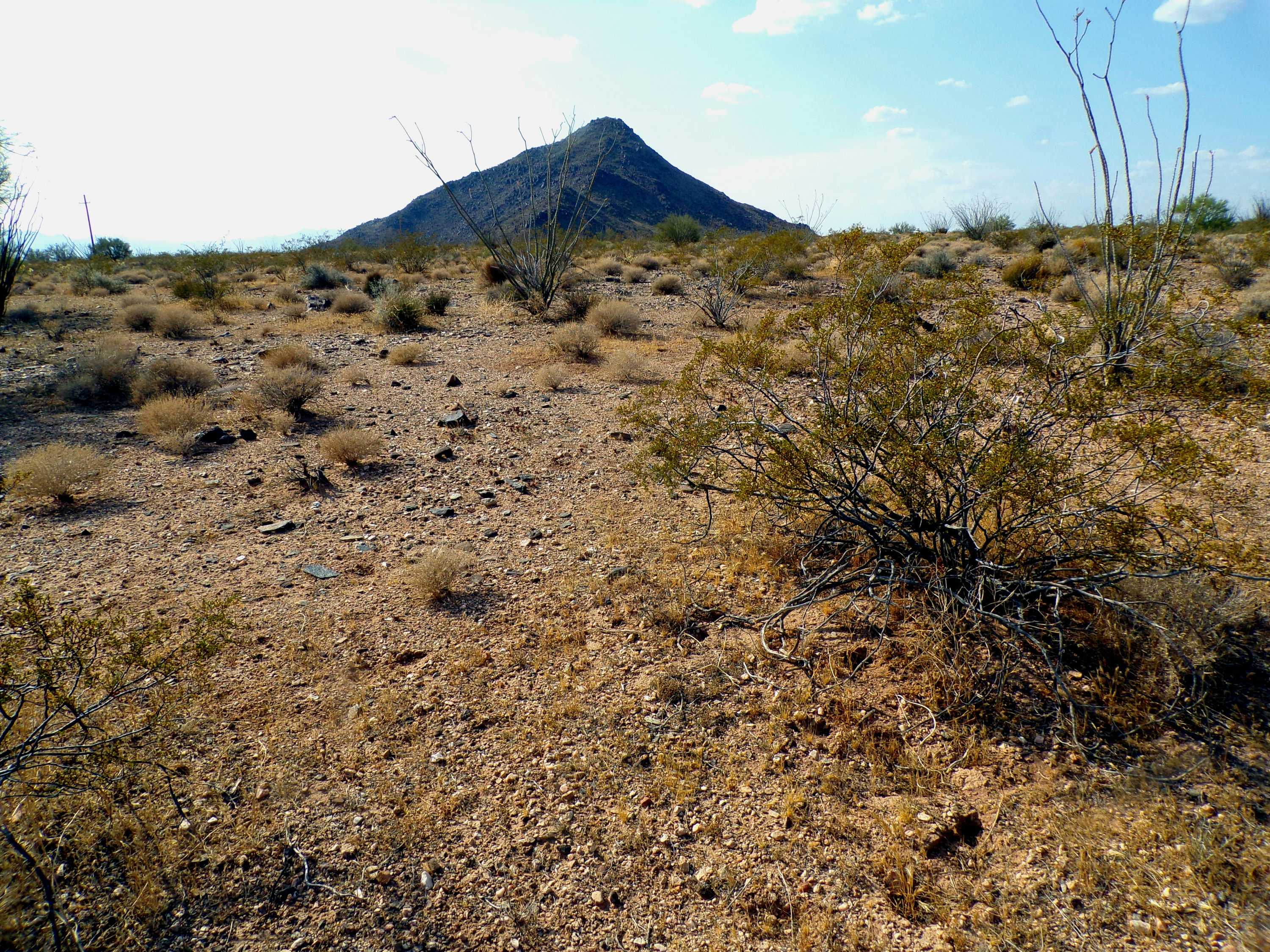 100_1352_DESERT.JPG