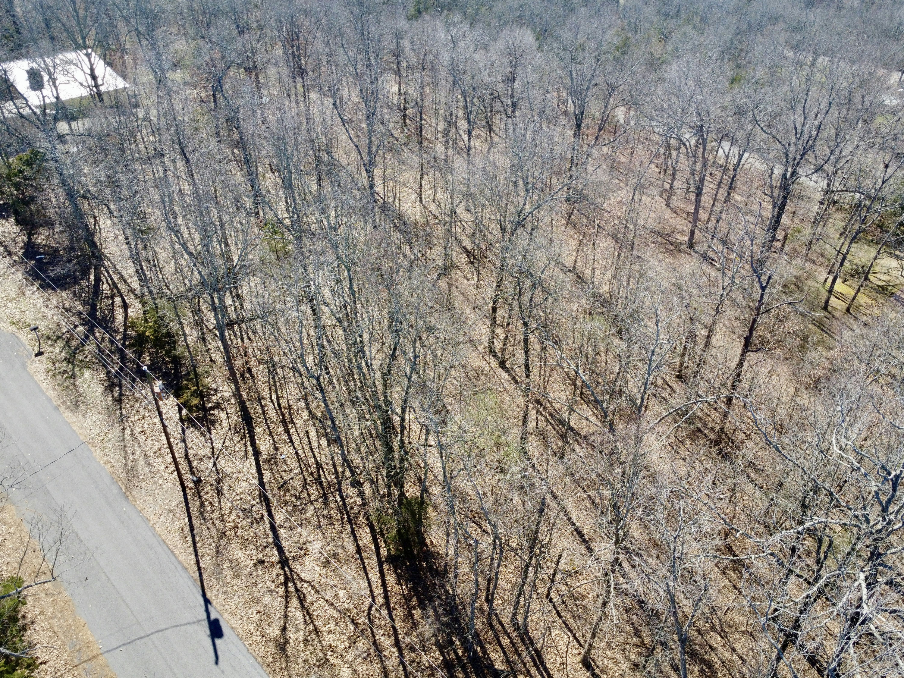 Copy of DJI_0209.JPG