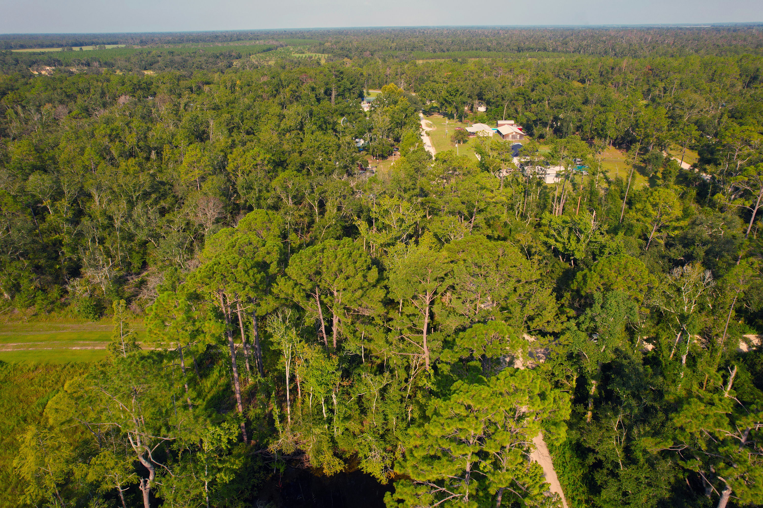 DJI_0213.jpg