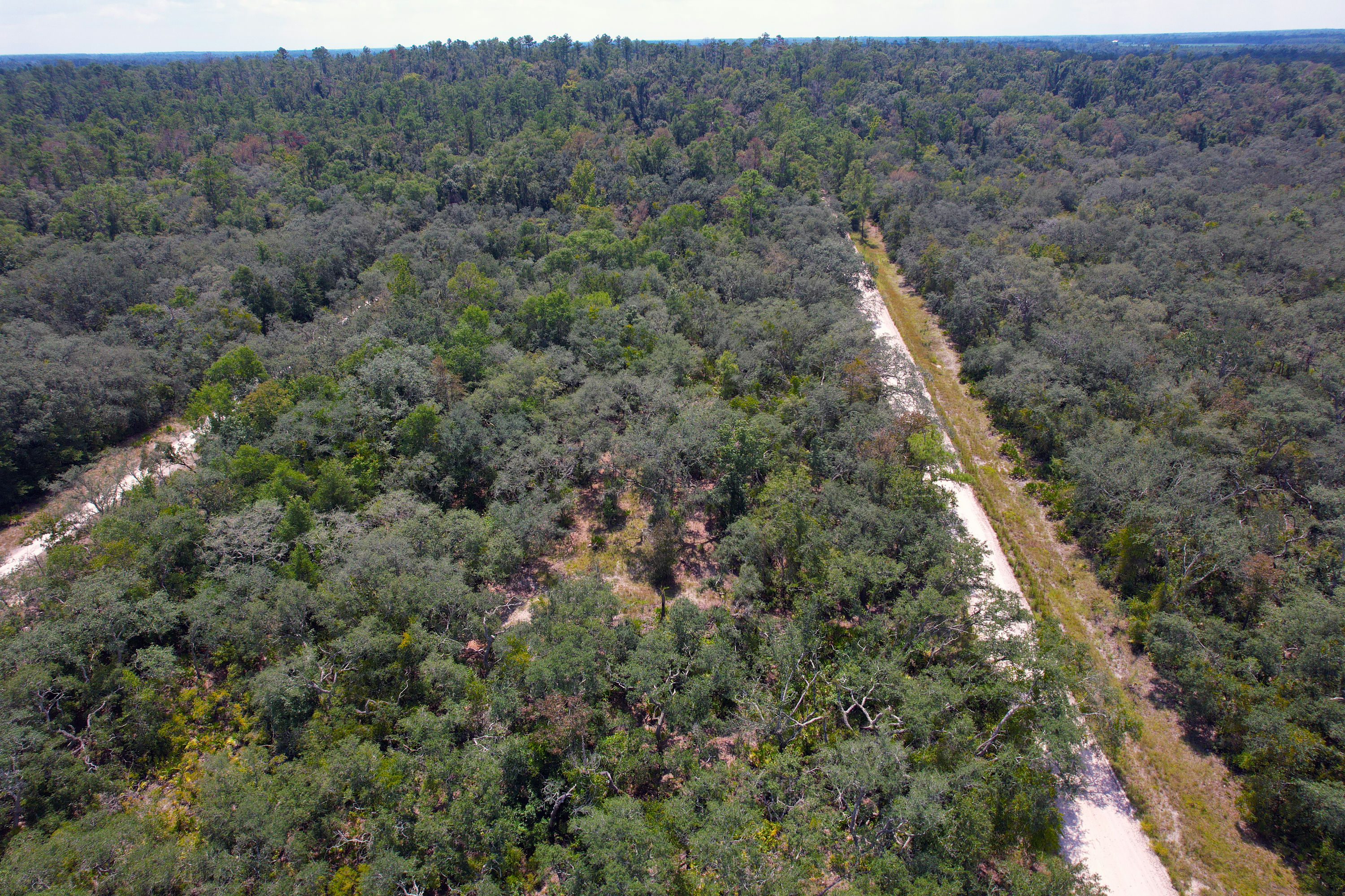 DJI_0601.jpg