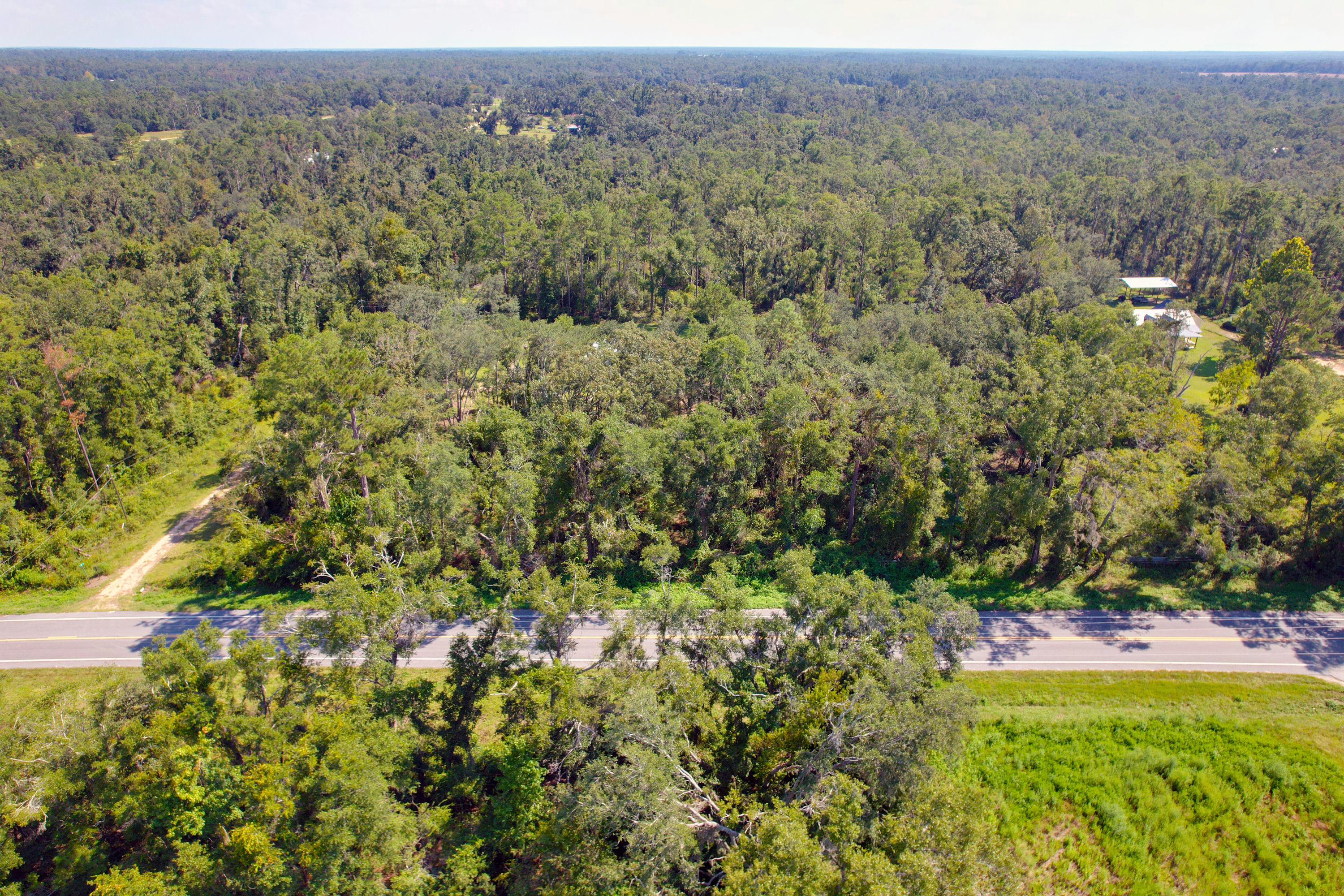 DJI_0773.jpg