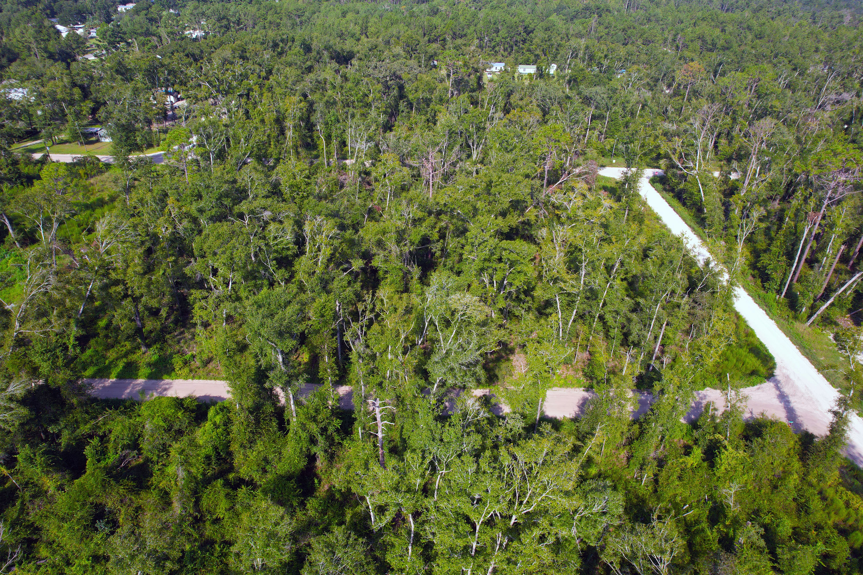 DJI_0290.jpg