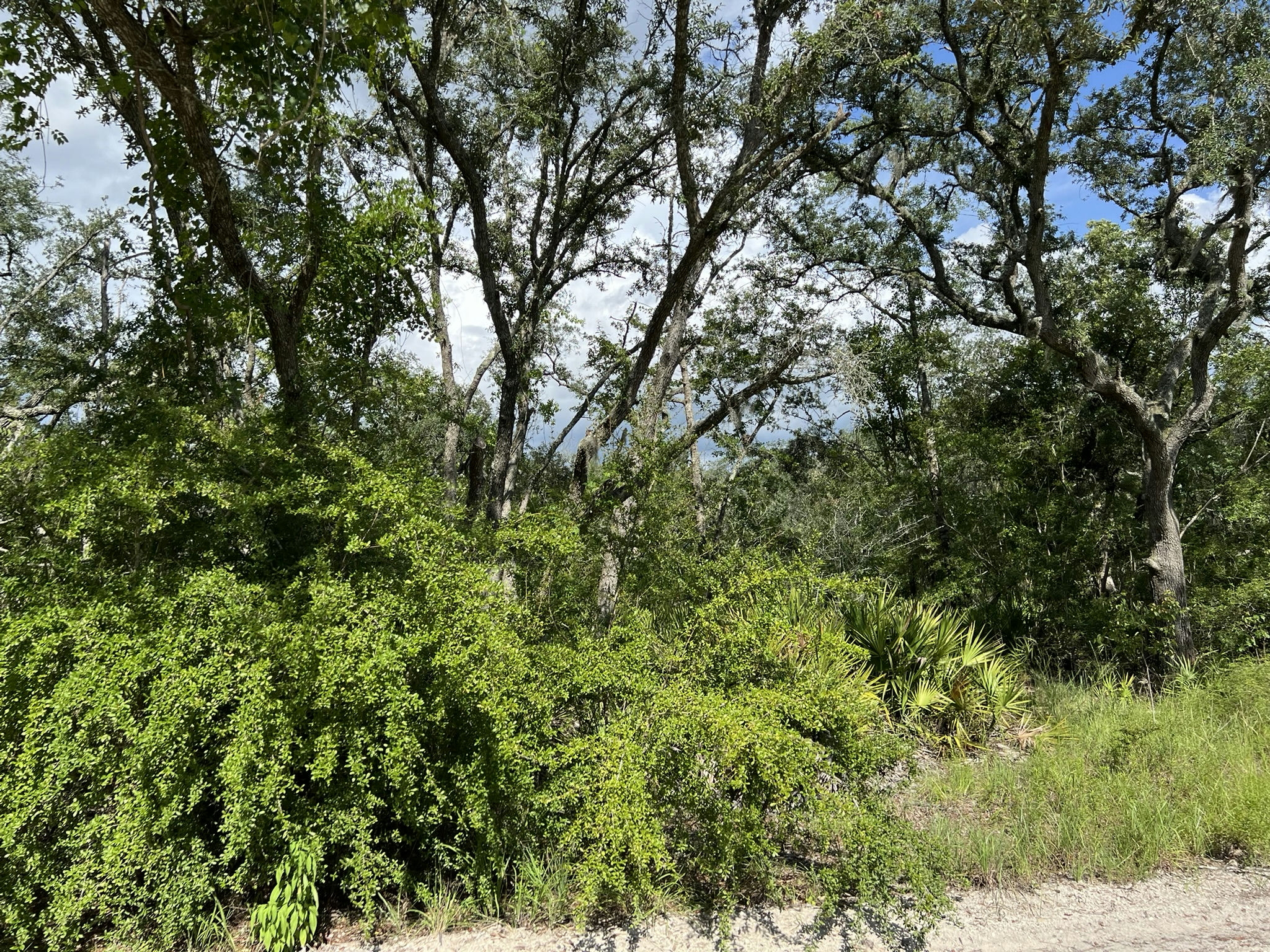 IMG_5809.JPEG