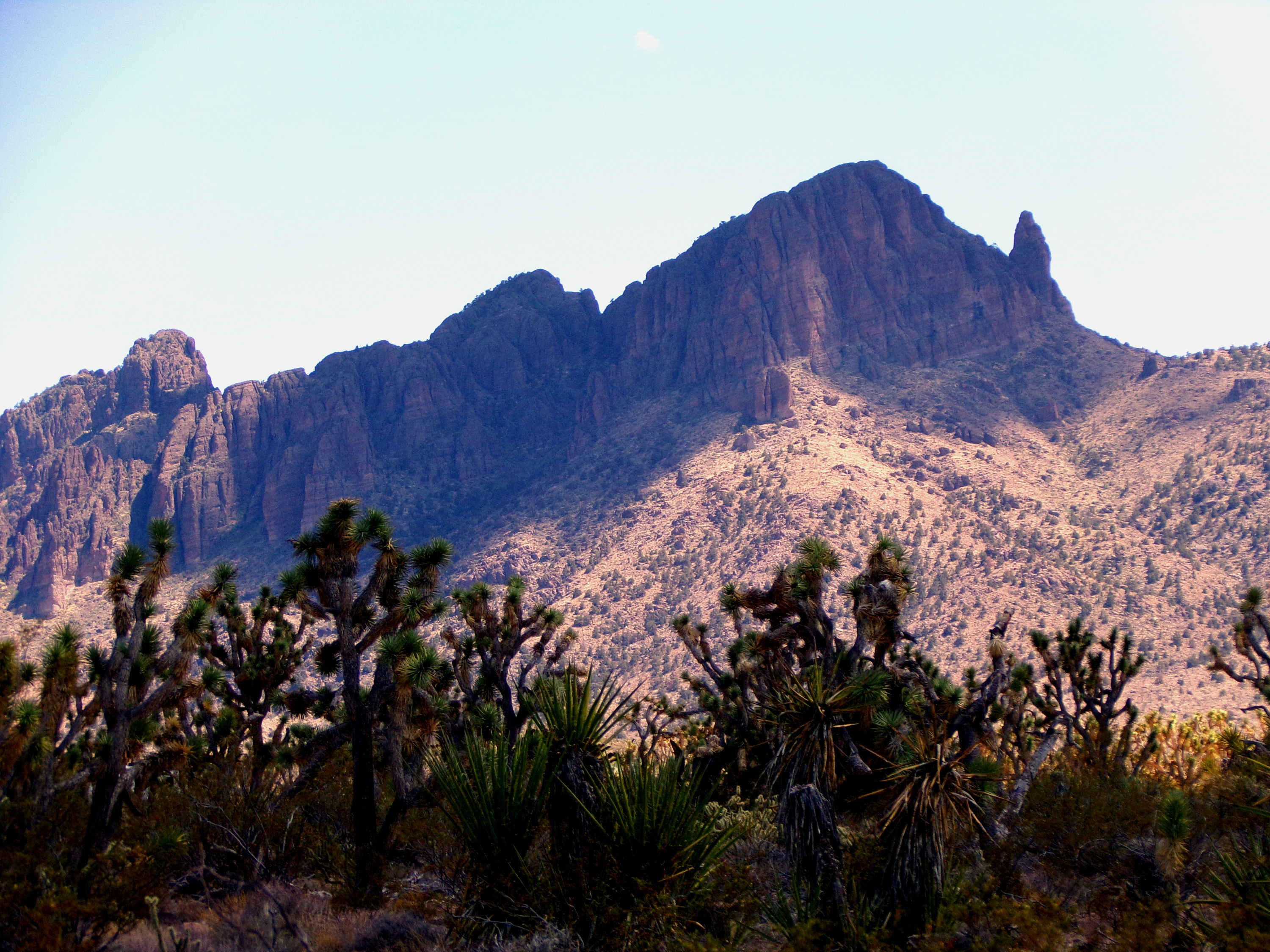 100_0782_DESERT.JPG
