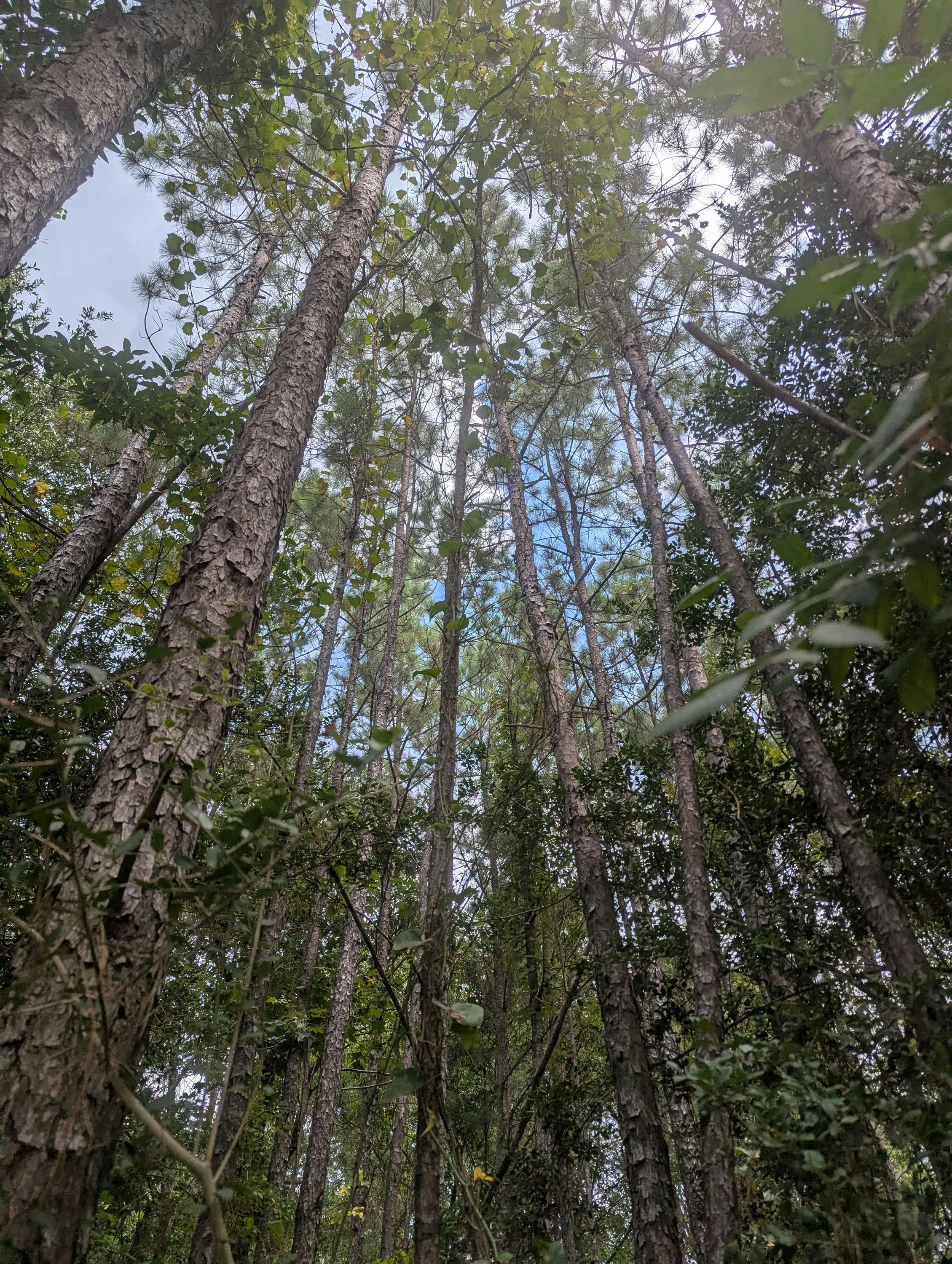 PXL_20250811_182458320.jpg