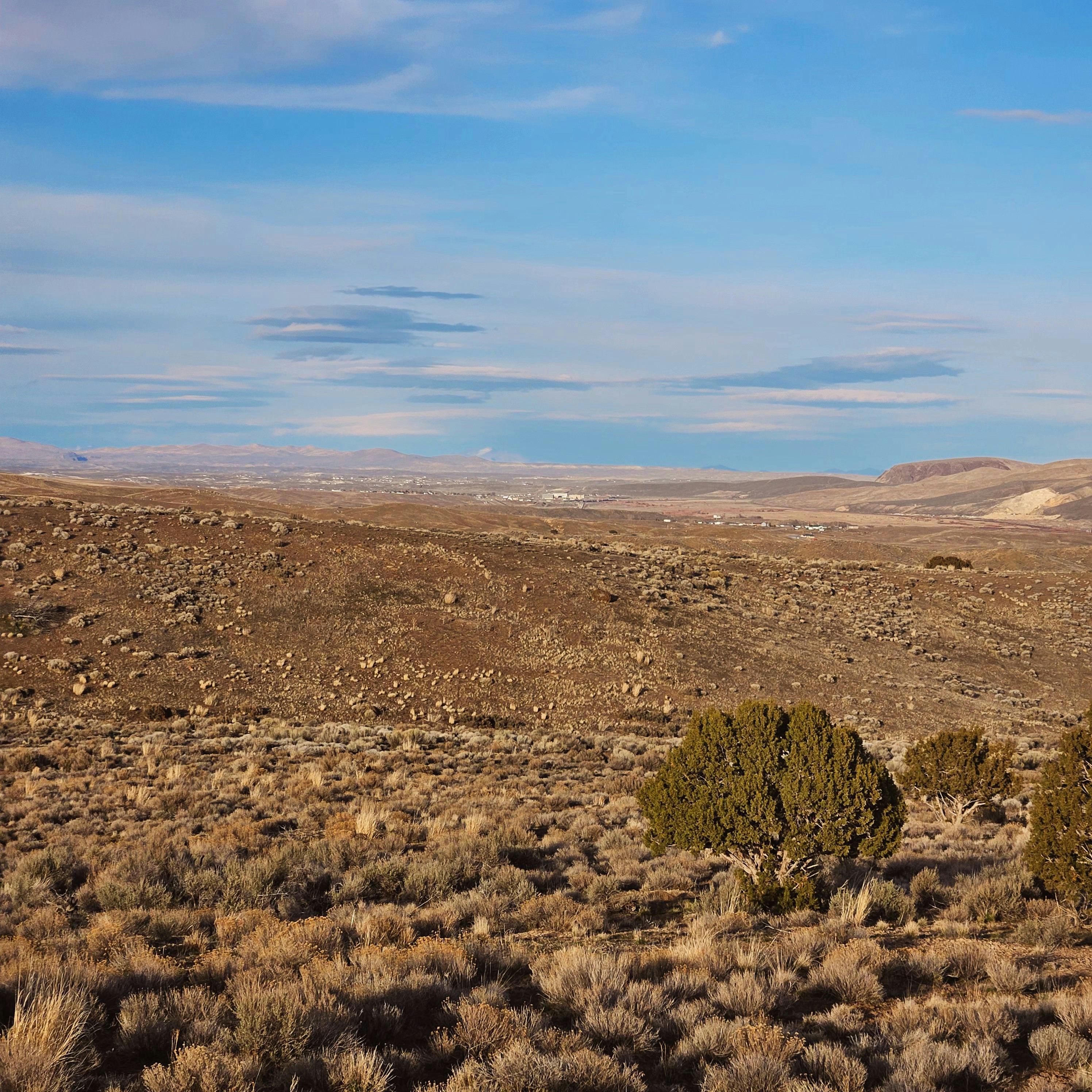 20260311_174315~2.jpg