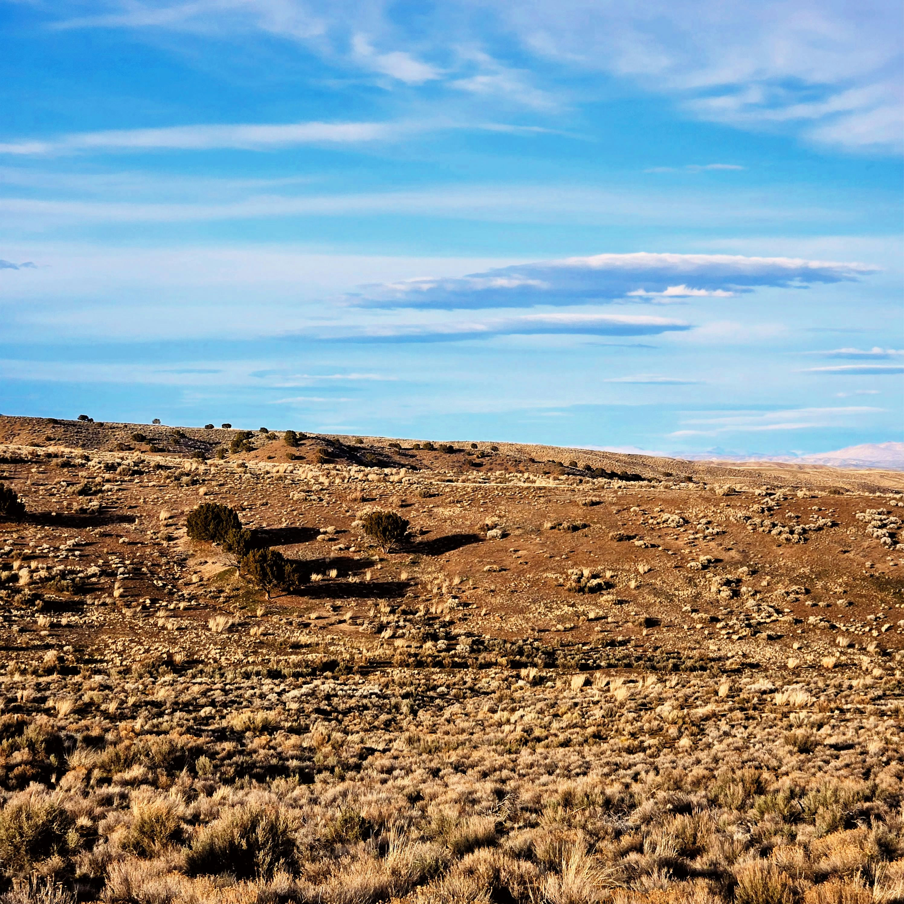20260311_174313~2.jpg