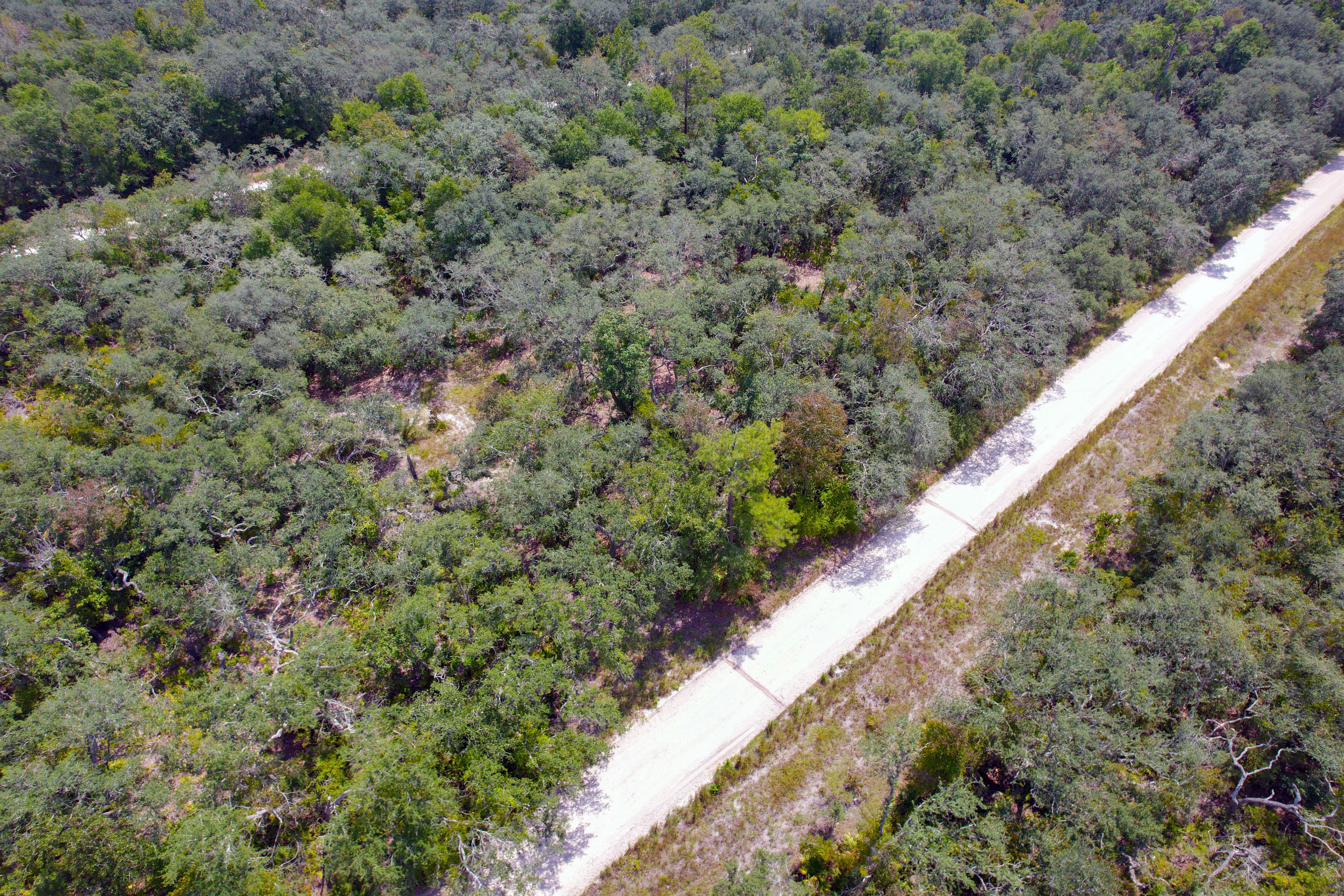 DJI_0592.jpg