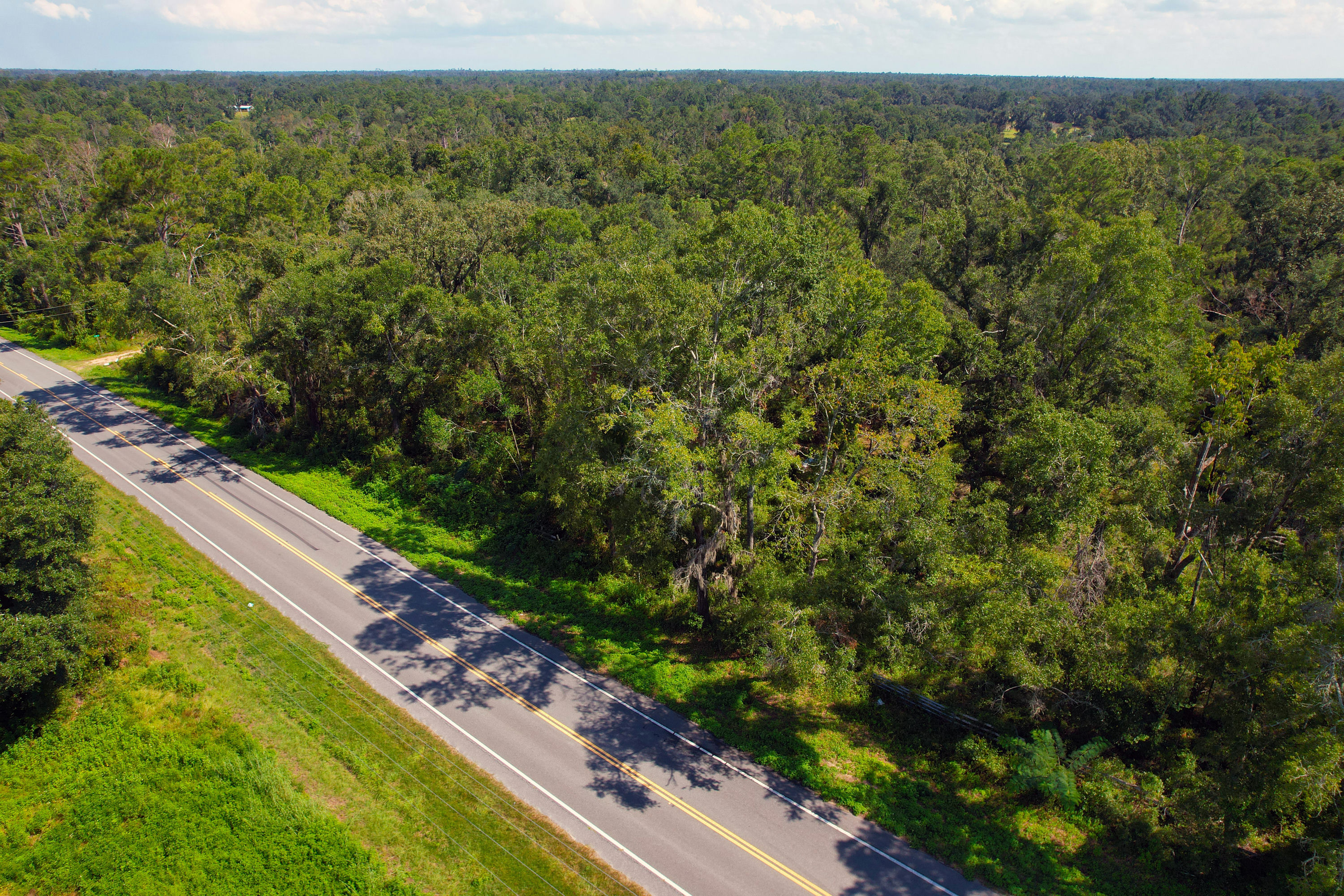 DJI_0767.jpg