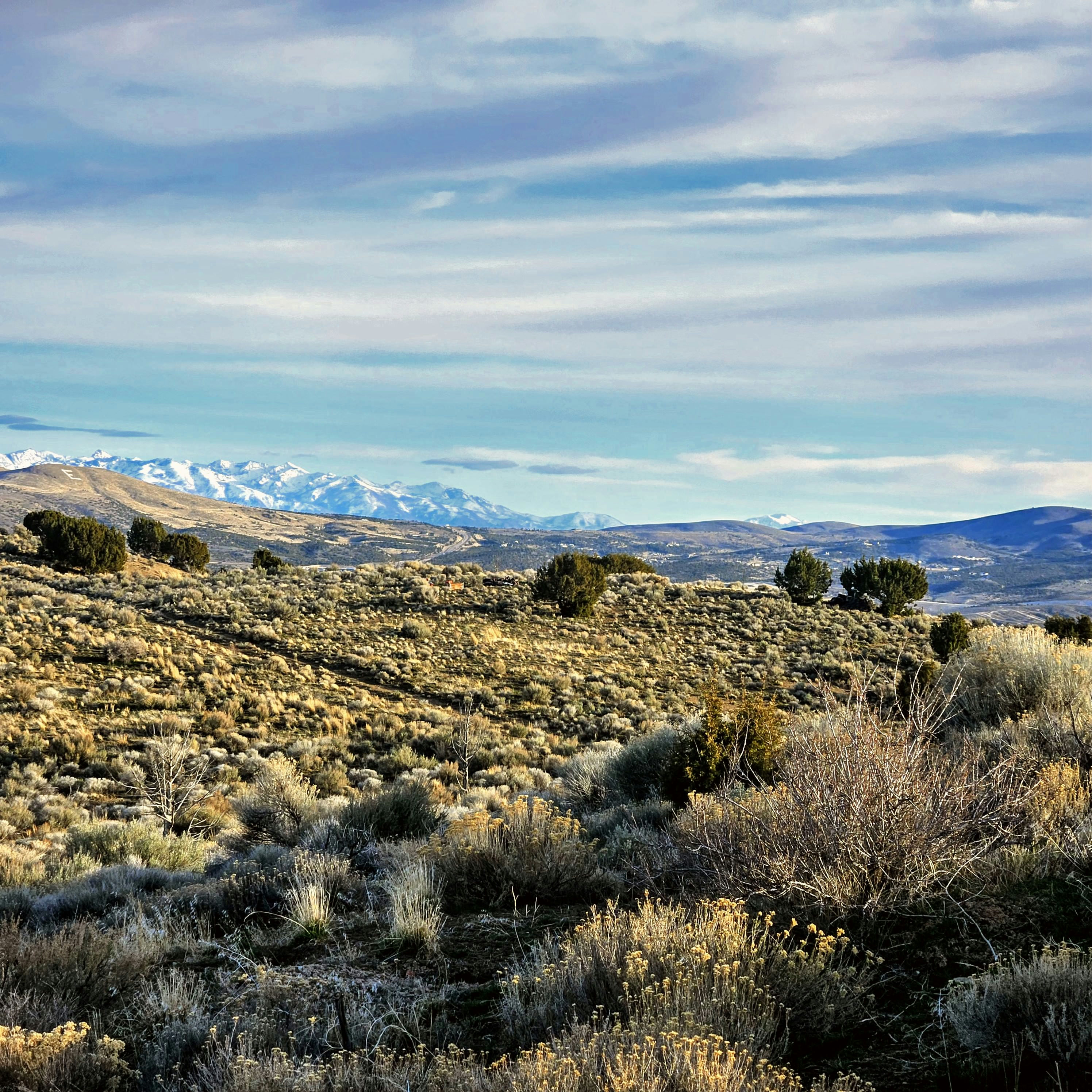 20260311_174201~3.jpg