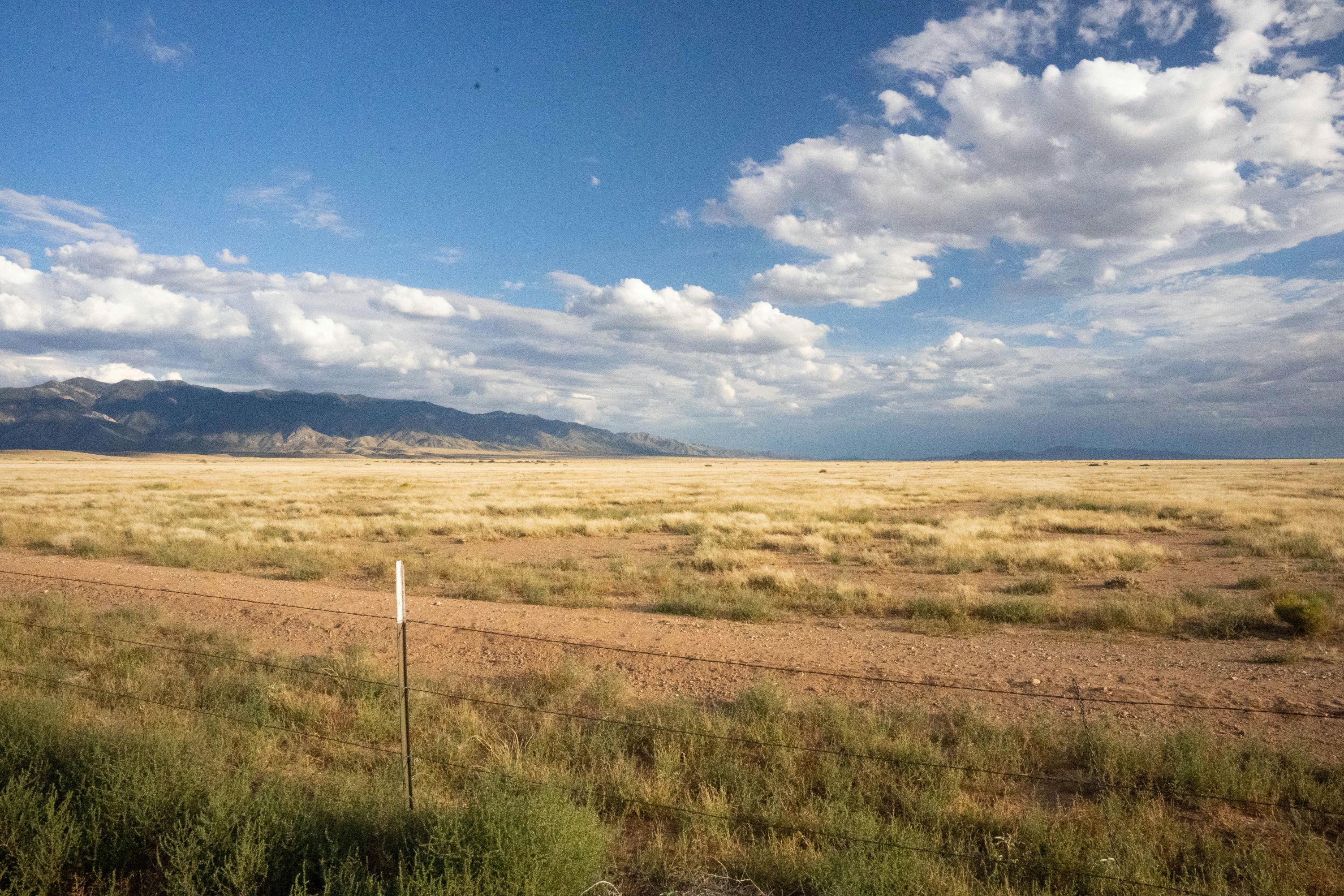 Copy of Vacant Lot-16.jpg