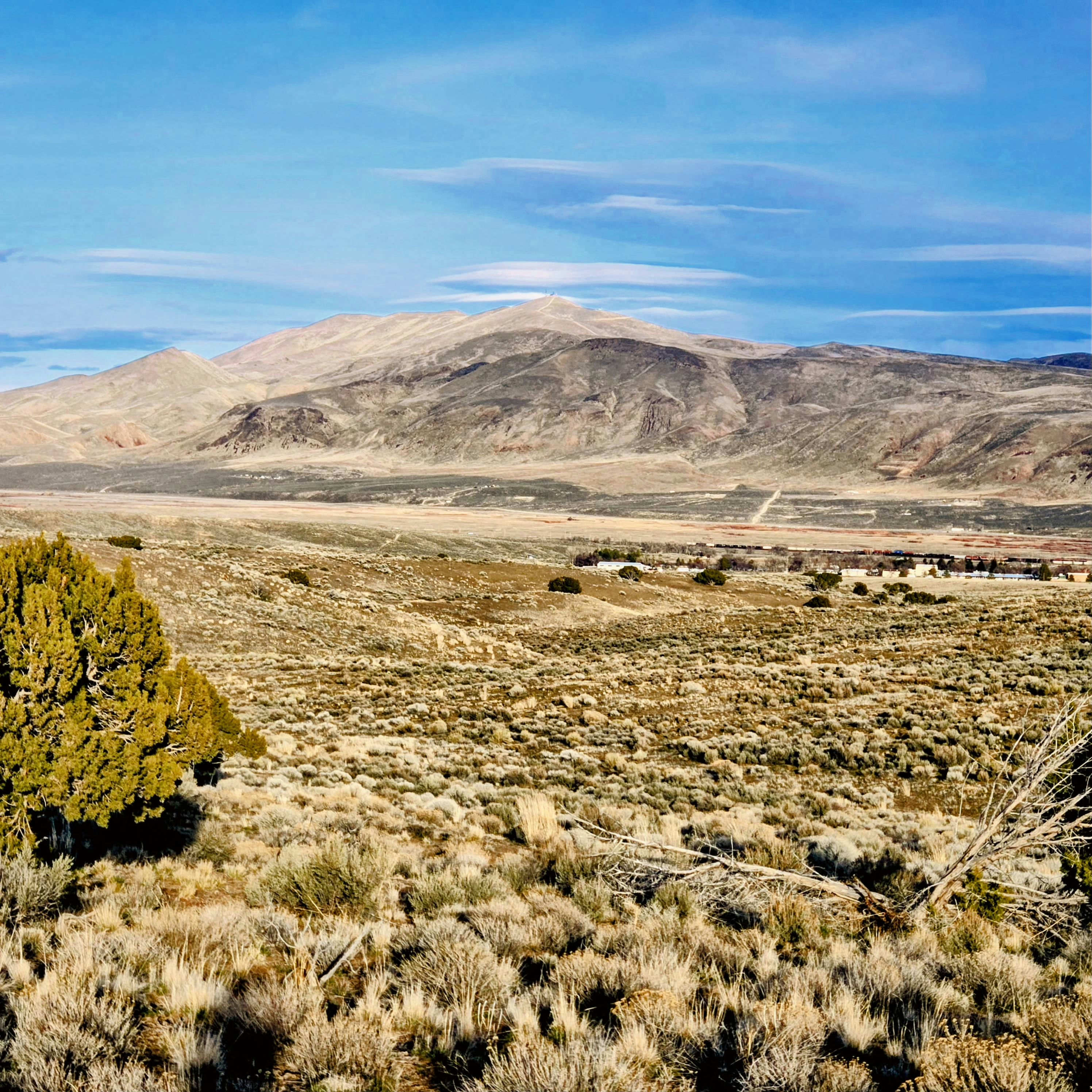 20260311_174206~2.jpg