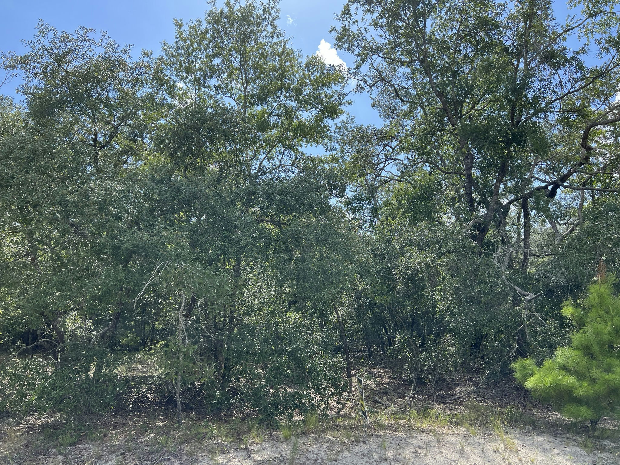 IMG_5771.JPEG
