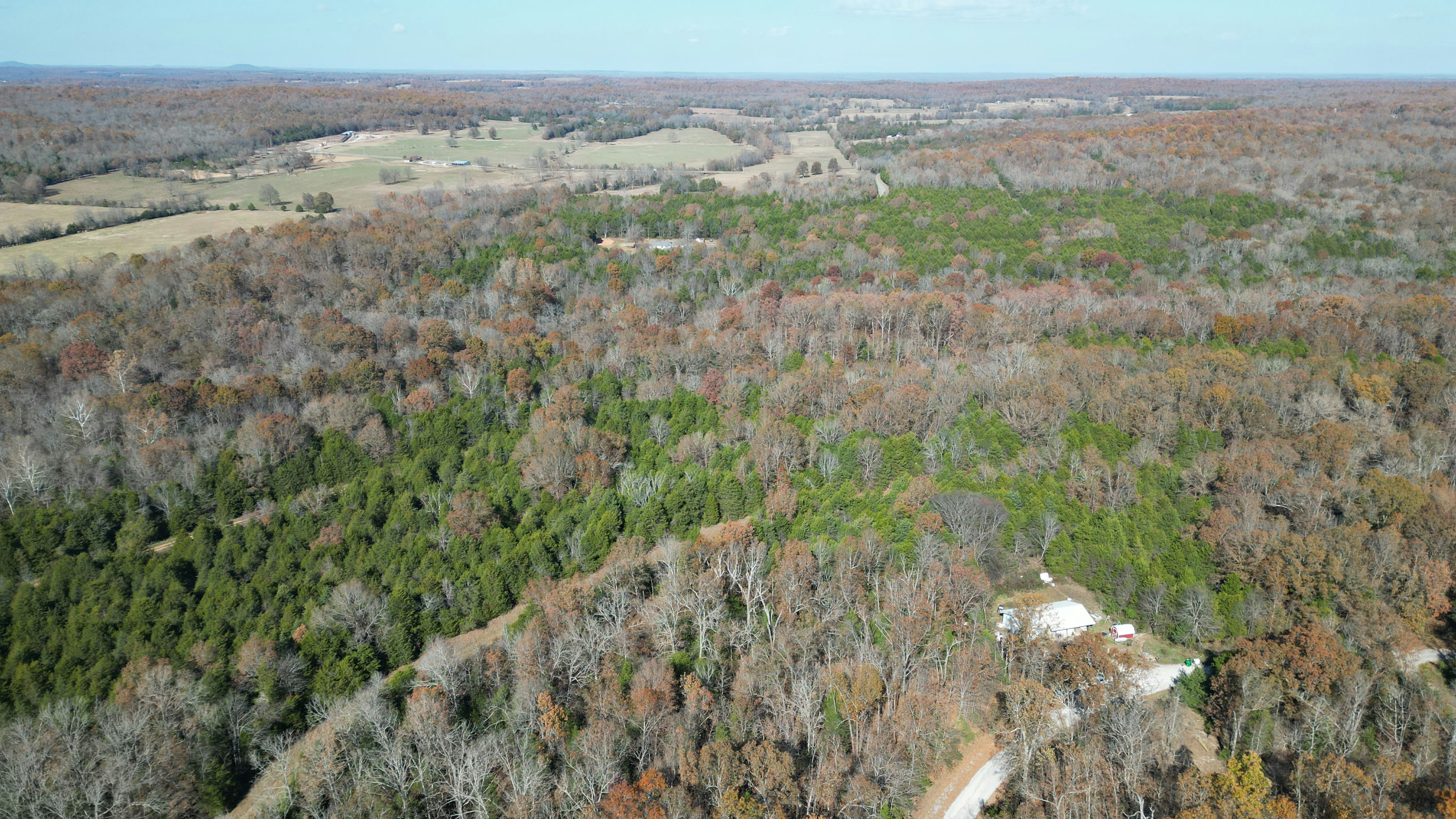 DJI_0875.JPG