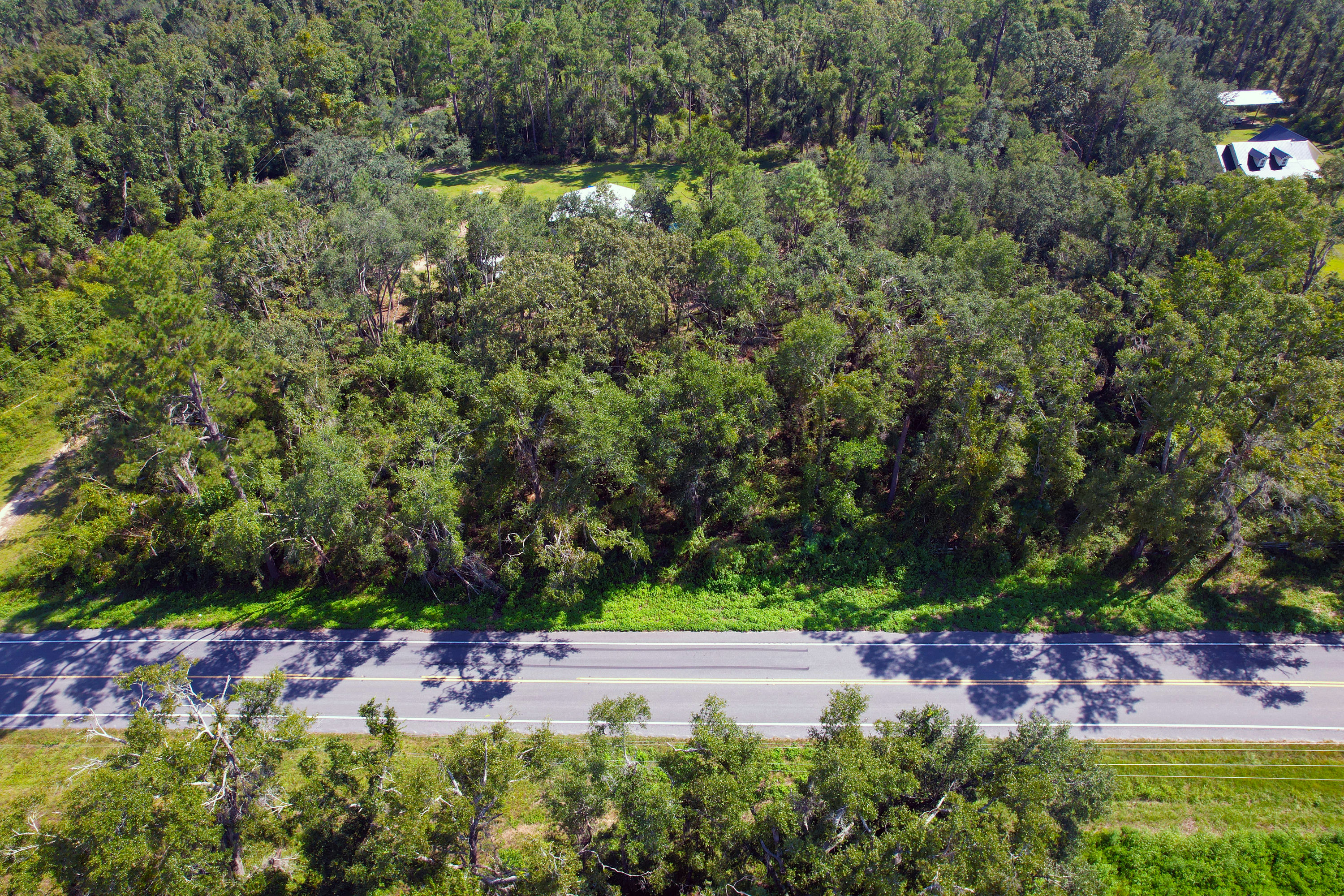 DJI_0782.jpg