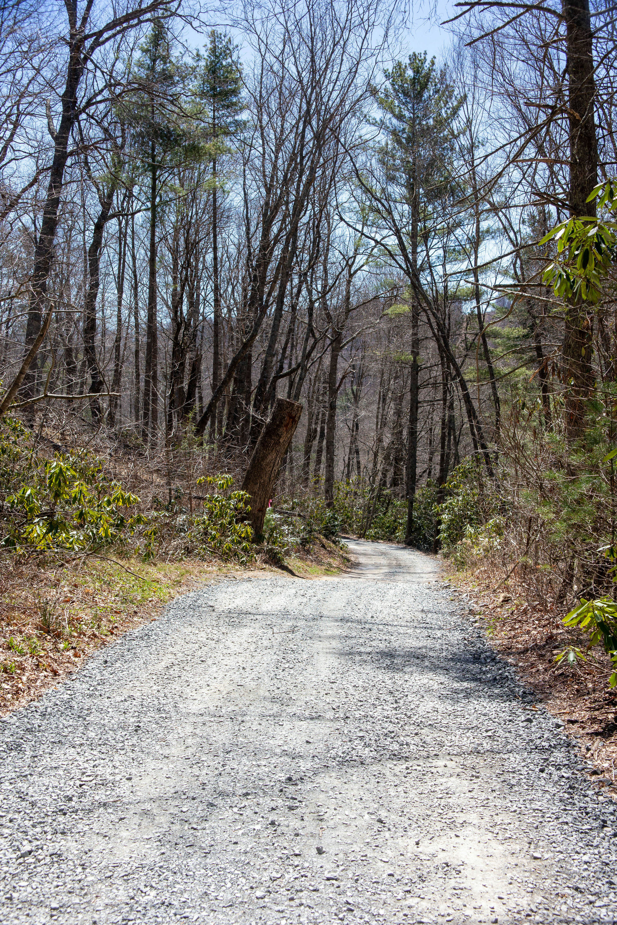 Copy of EndlessWay-5.jpg