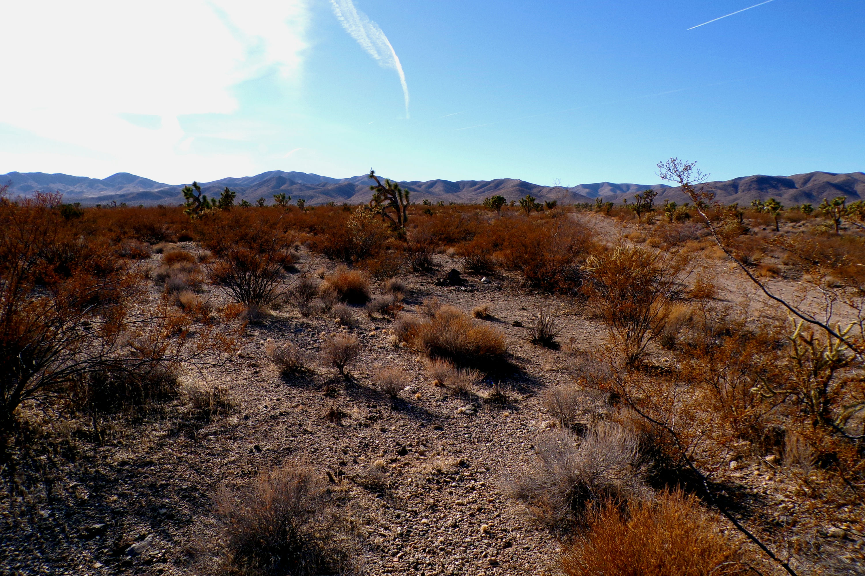 100_0864_DESERT.JPG