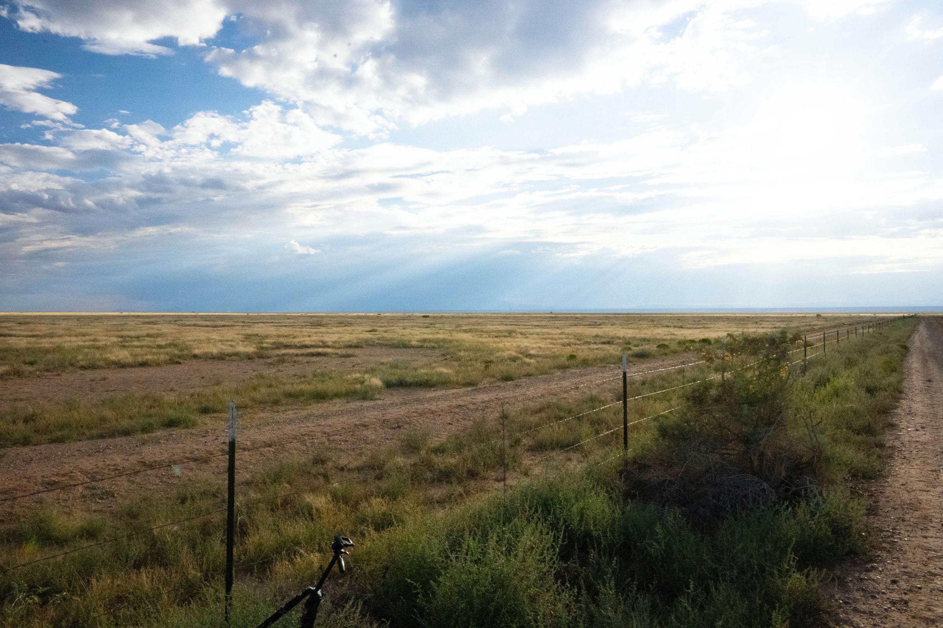 Copy of Vacant Lot-18.jpg
