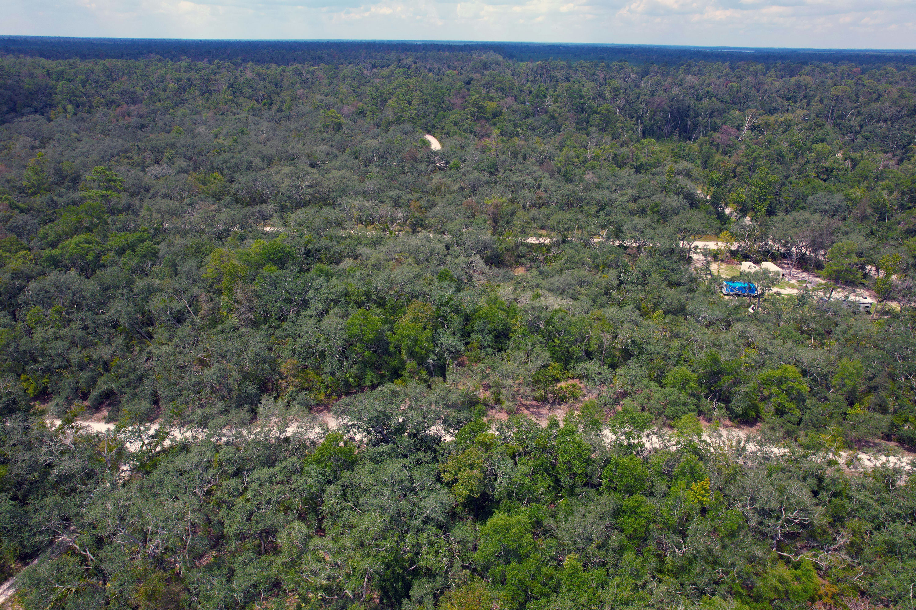 DJI_0551.jpg