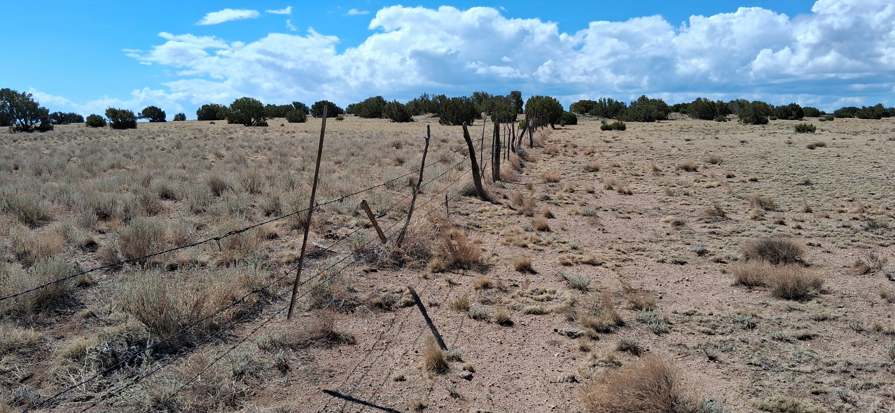 201-40-002B-C Vegetation (2).jpg