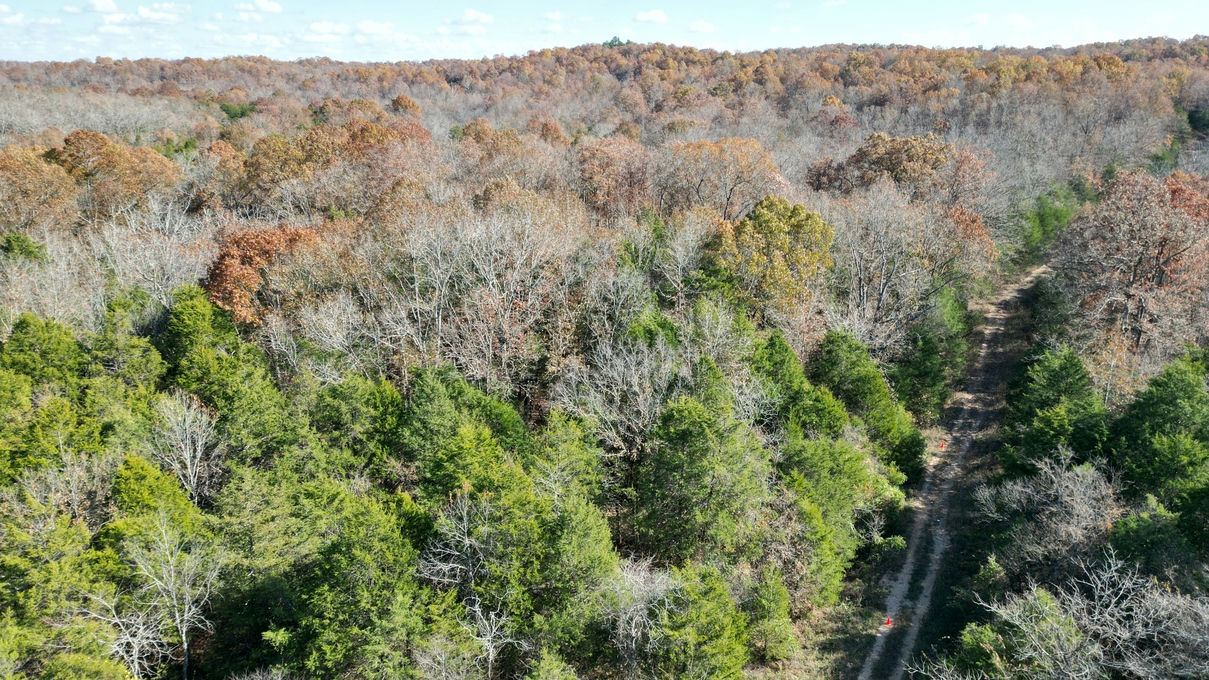DJI_0893-1209x680.JPG