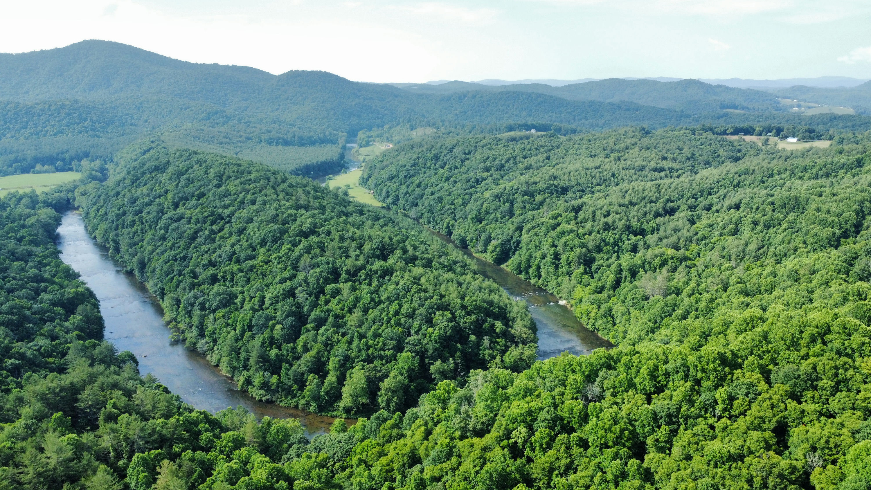 AV_47B_GAerial_View_River_Thorugh_The_Forest.jpeg