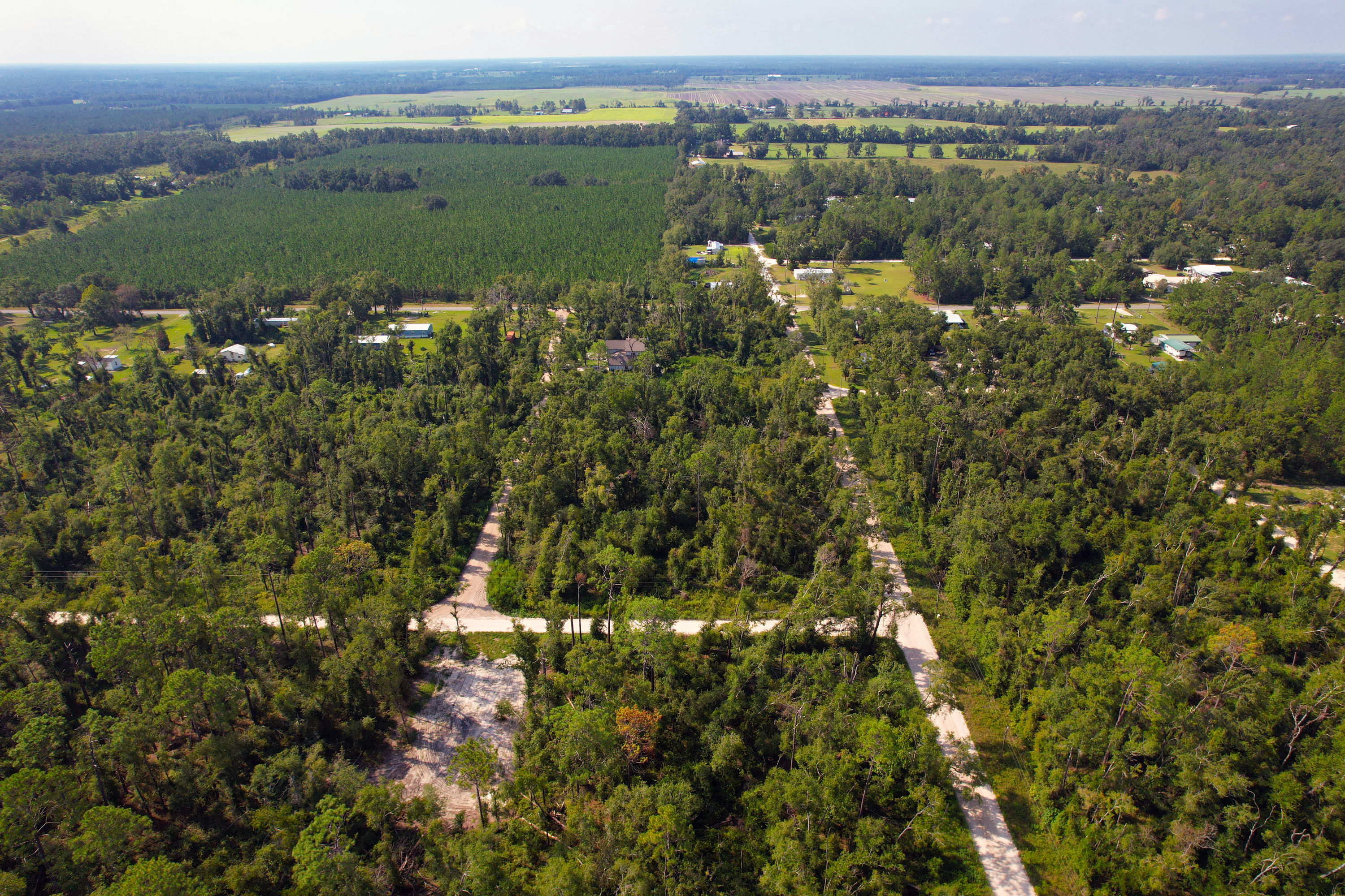 DJI_0313.jpg