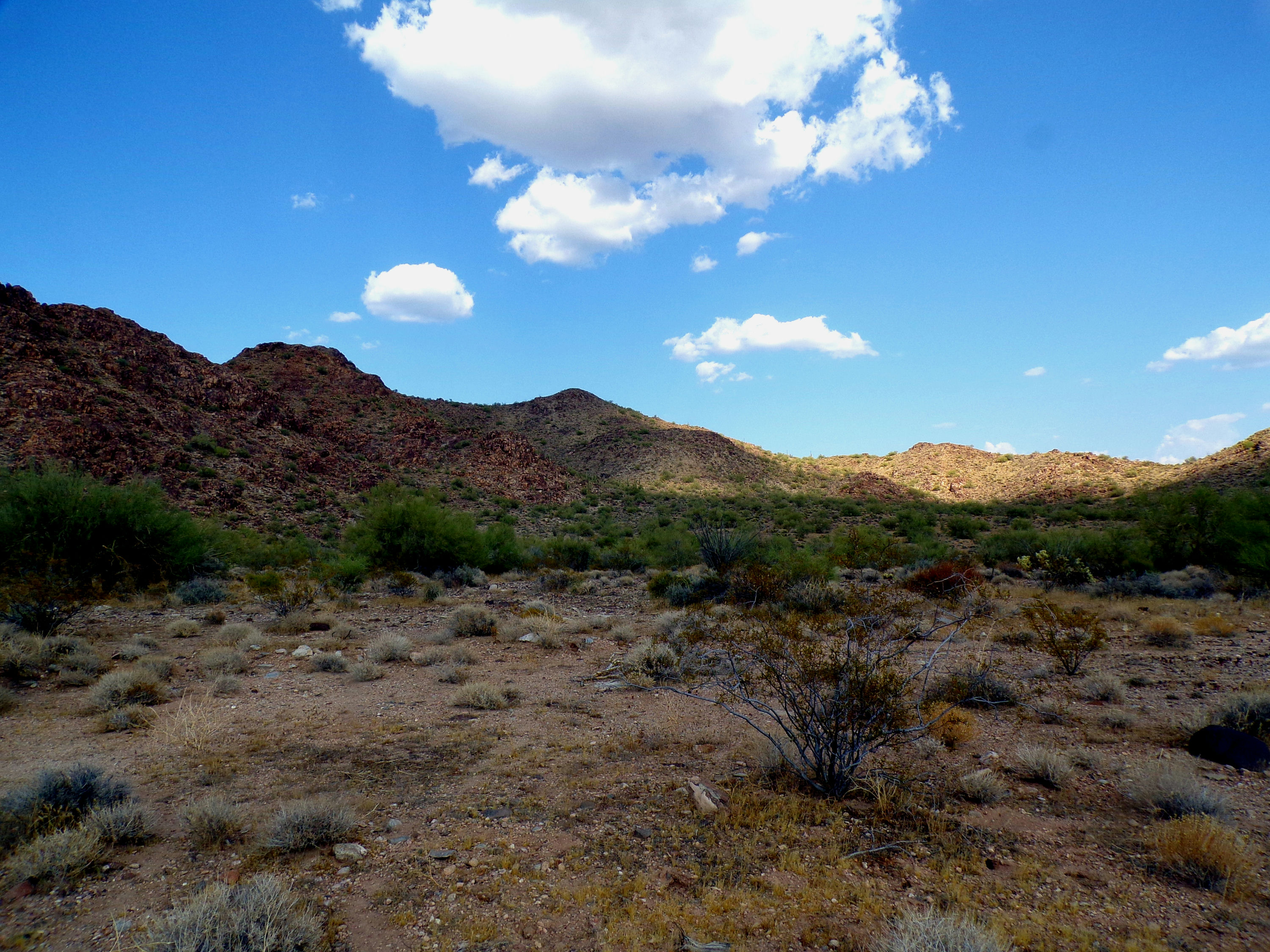 100_1329_DESERT.JPG
