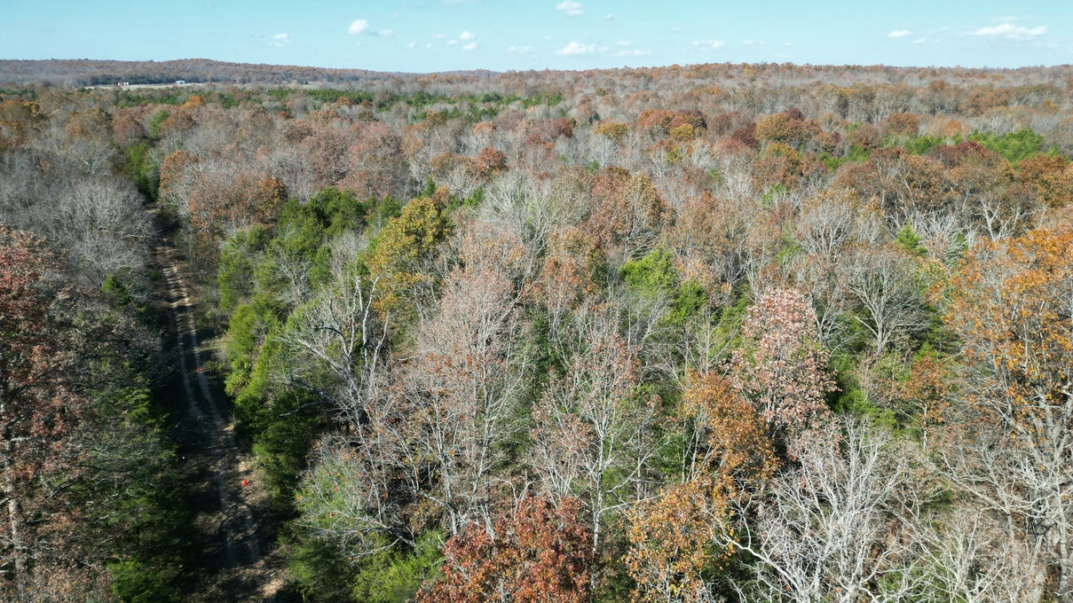 DJI_0894-1209x680.JPG