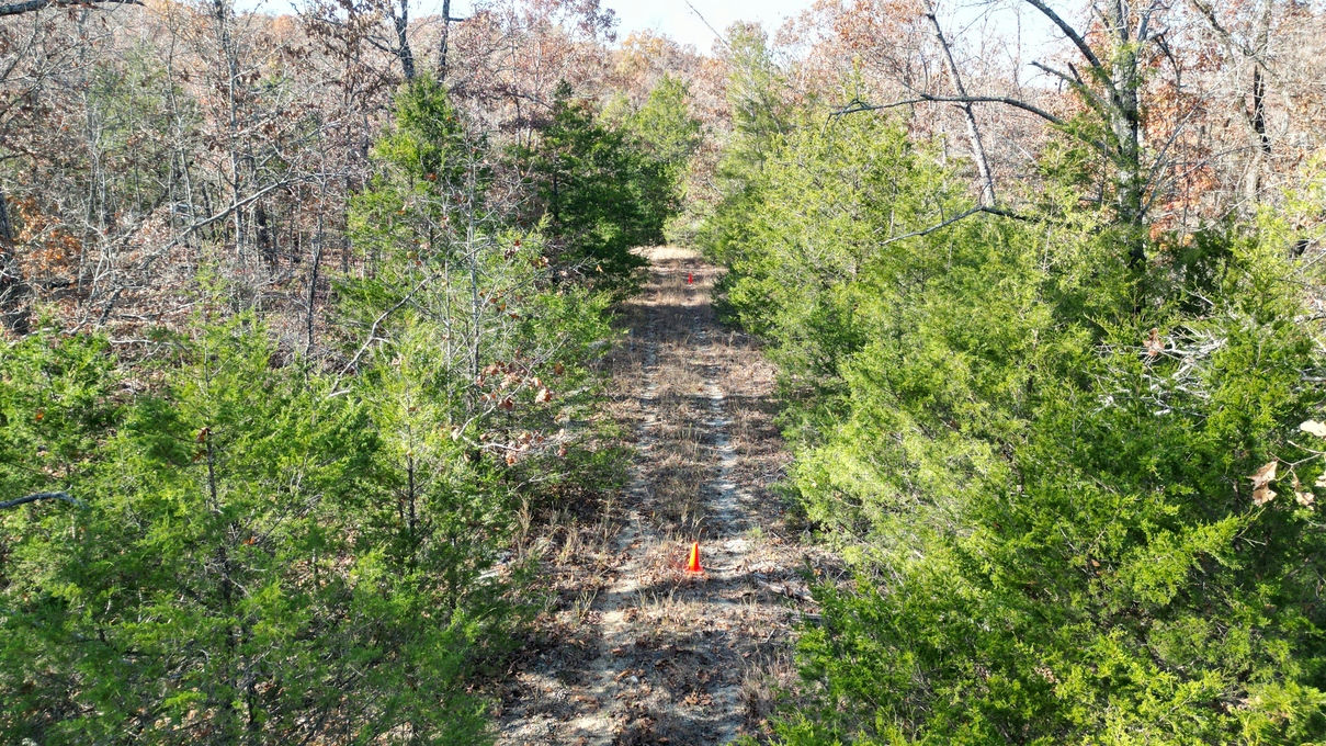 DJI_0911-1209x680.JPG