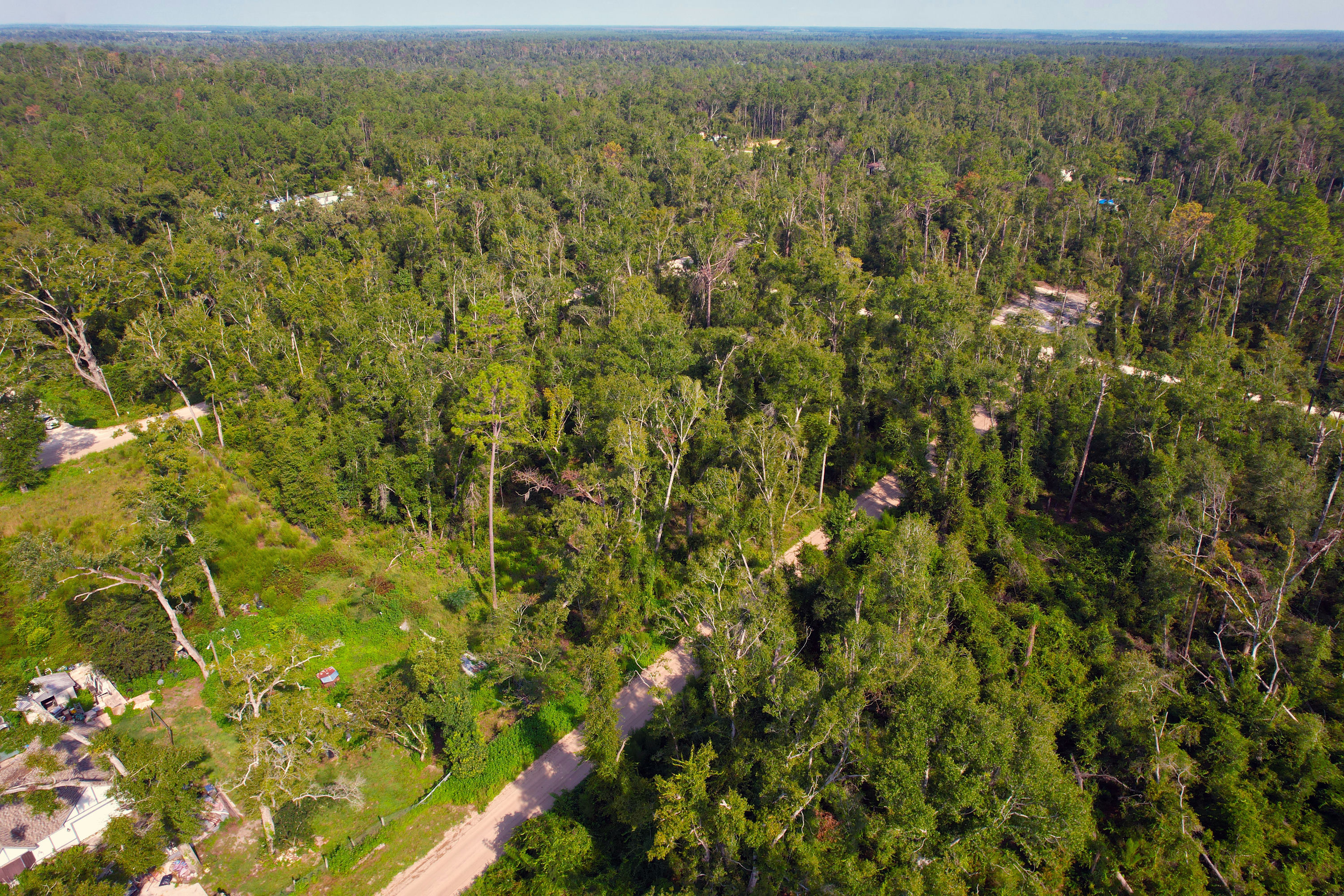 DJI_0296.jpg