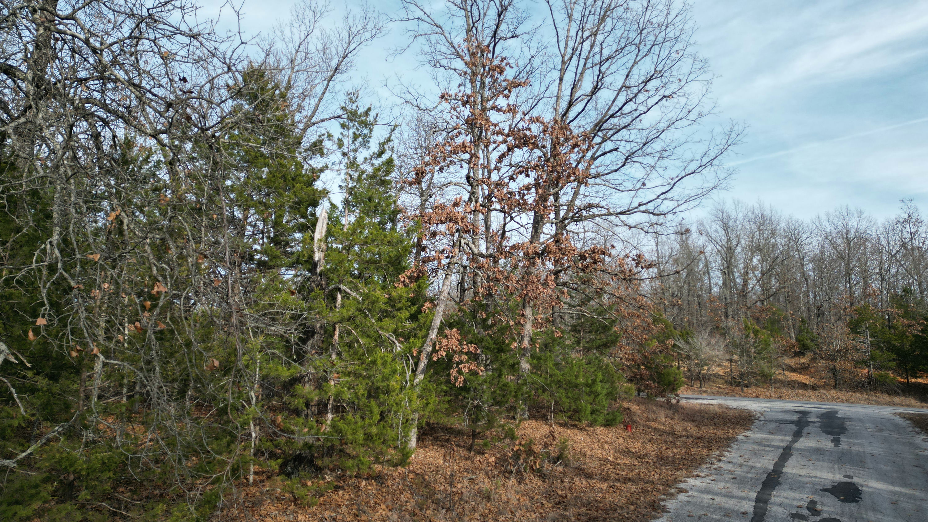 Copy of DJI_0977.JPG