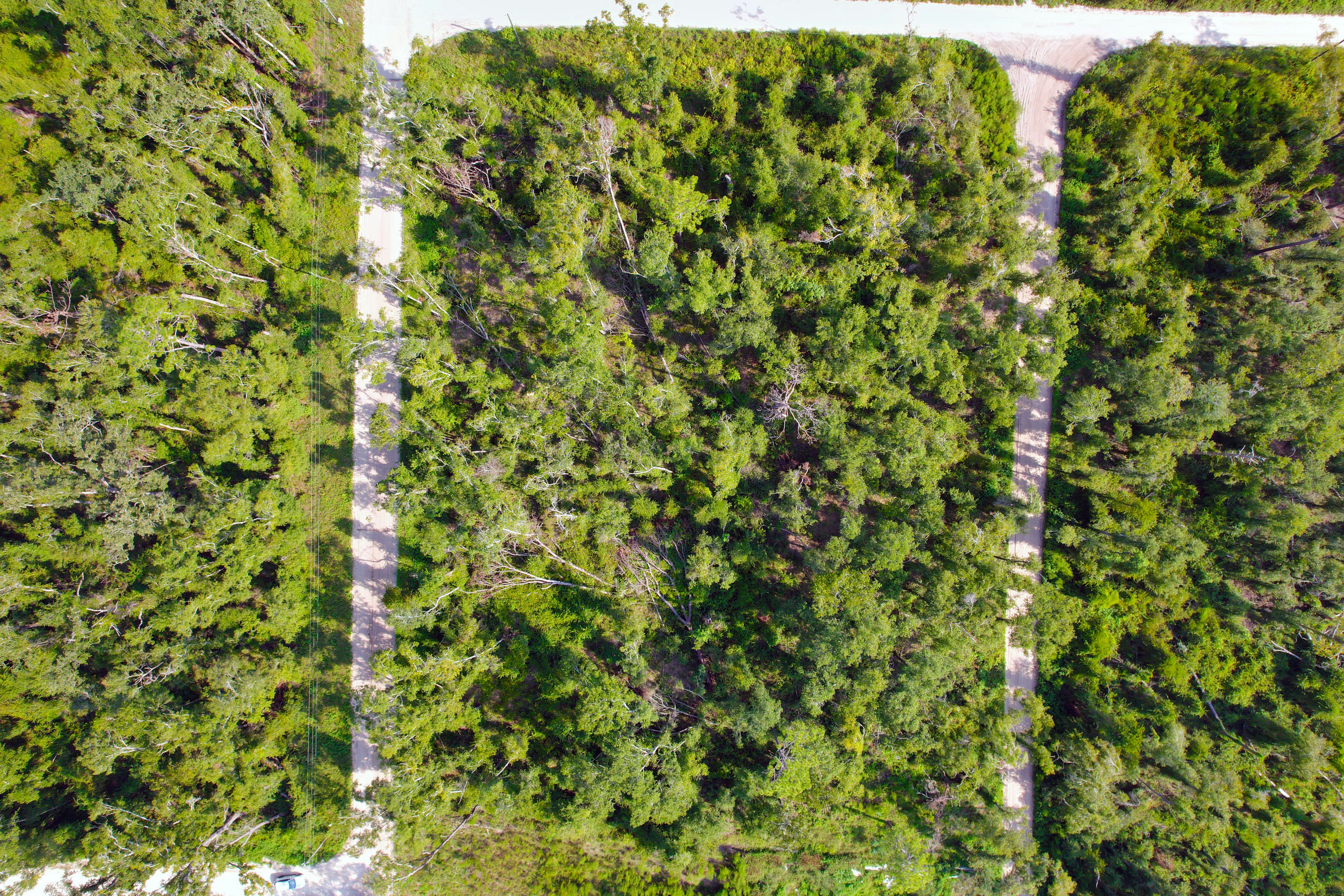 DJI_0324.jpg