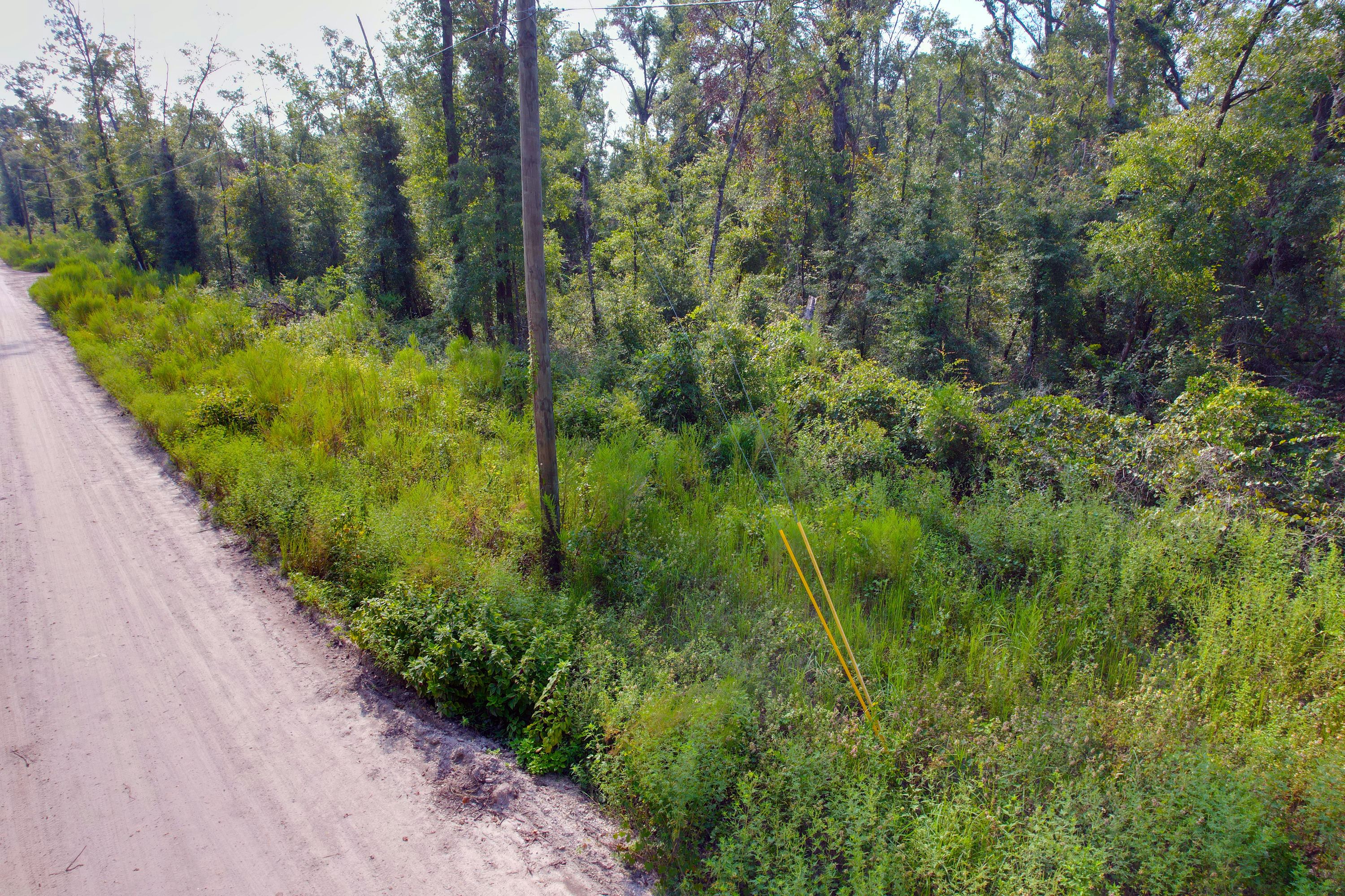DJI_0283.jpg
