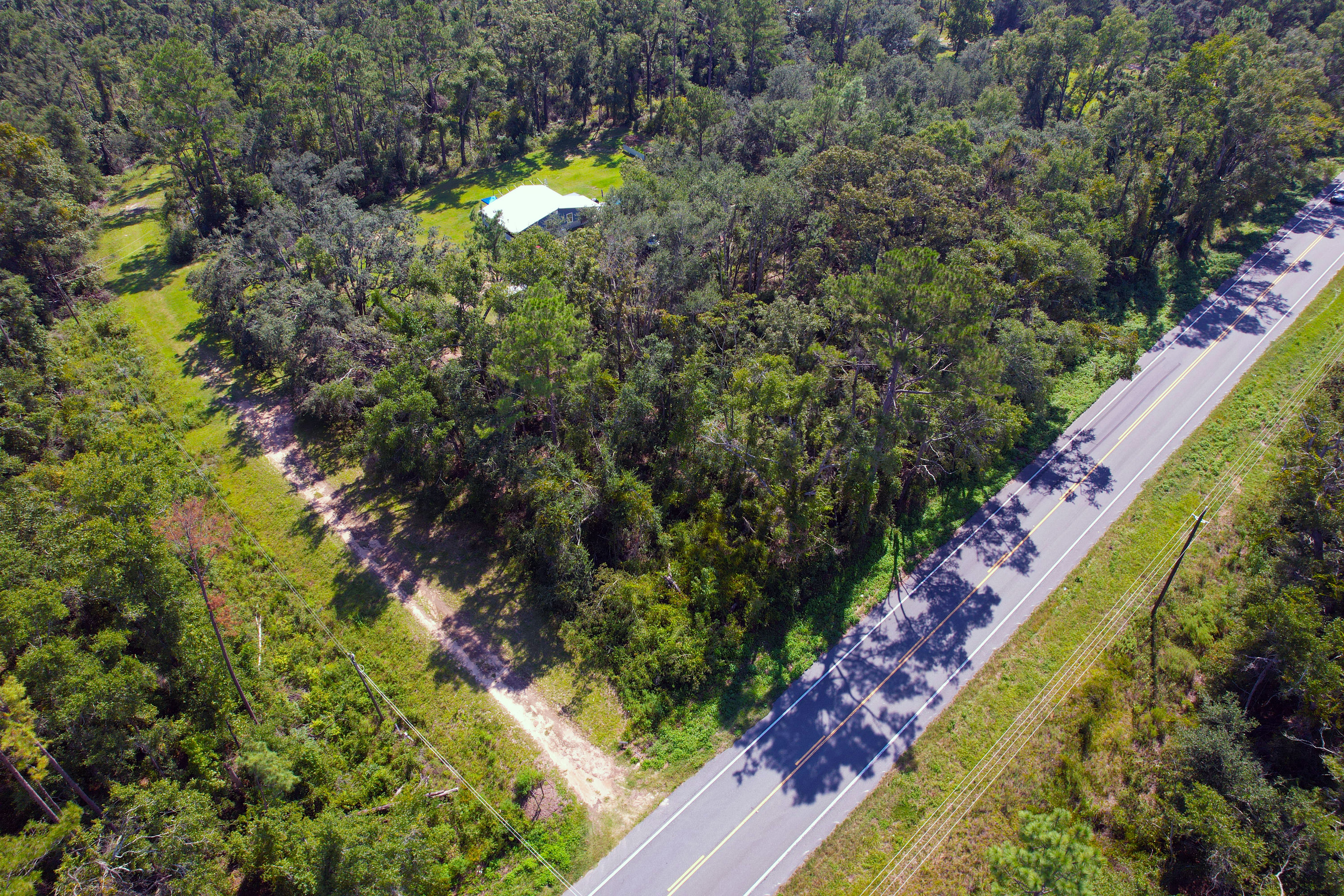 DJI_0781.jpg