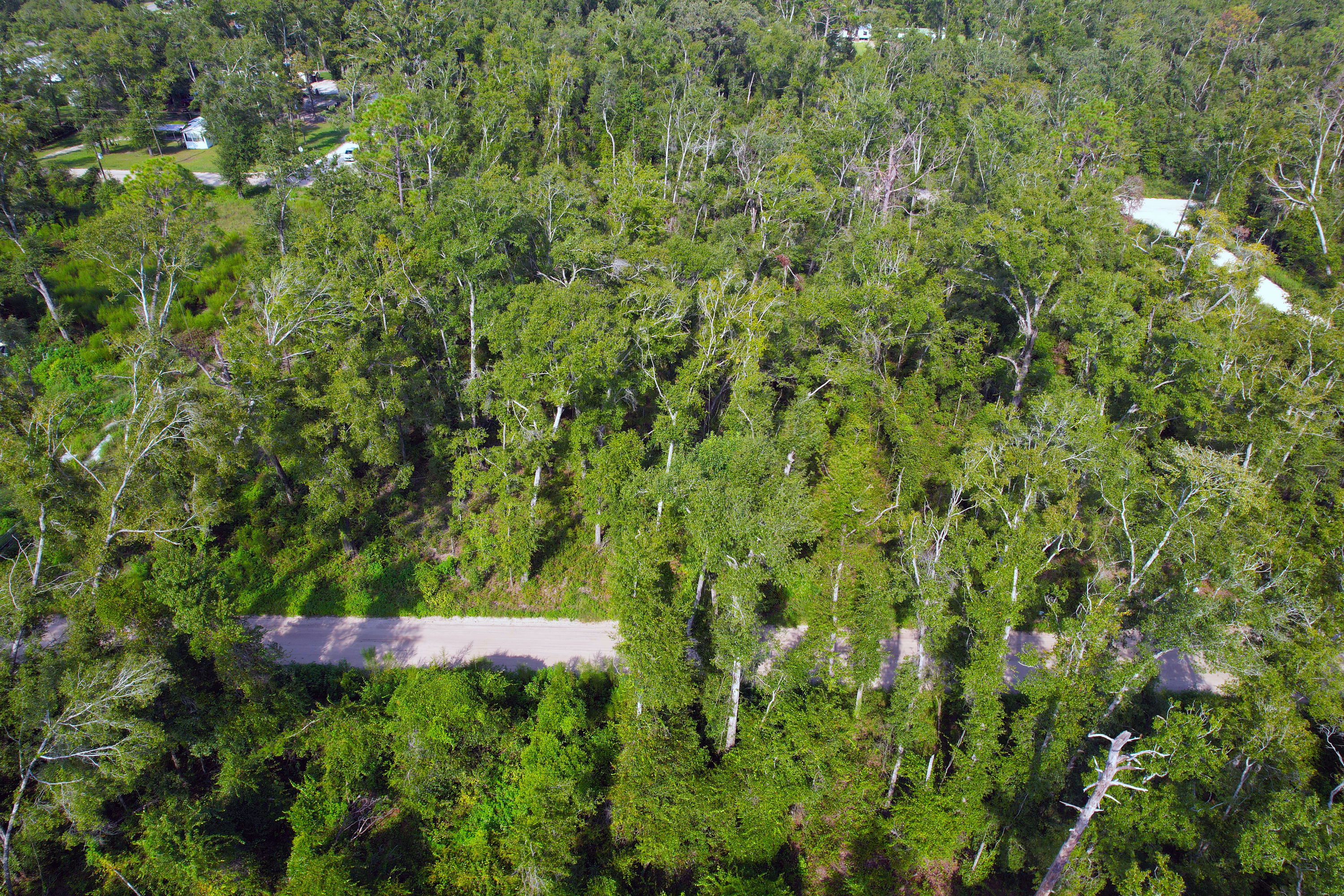 DJI_0303.jpg