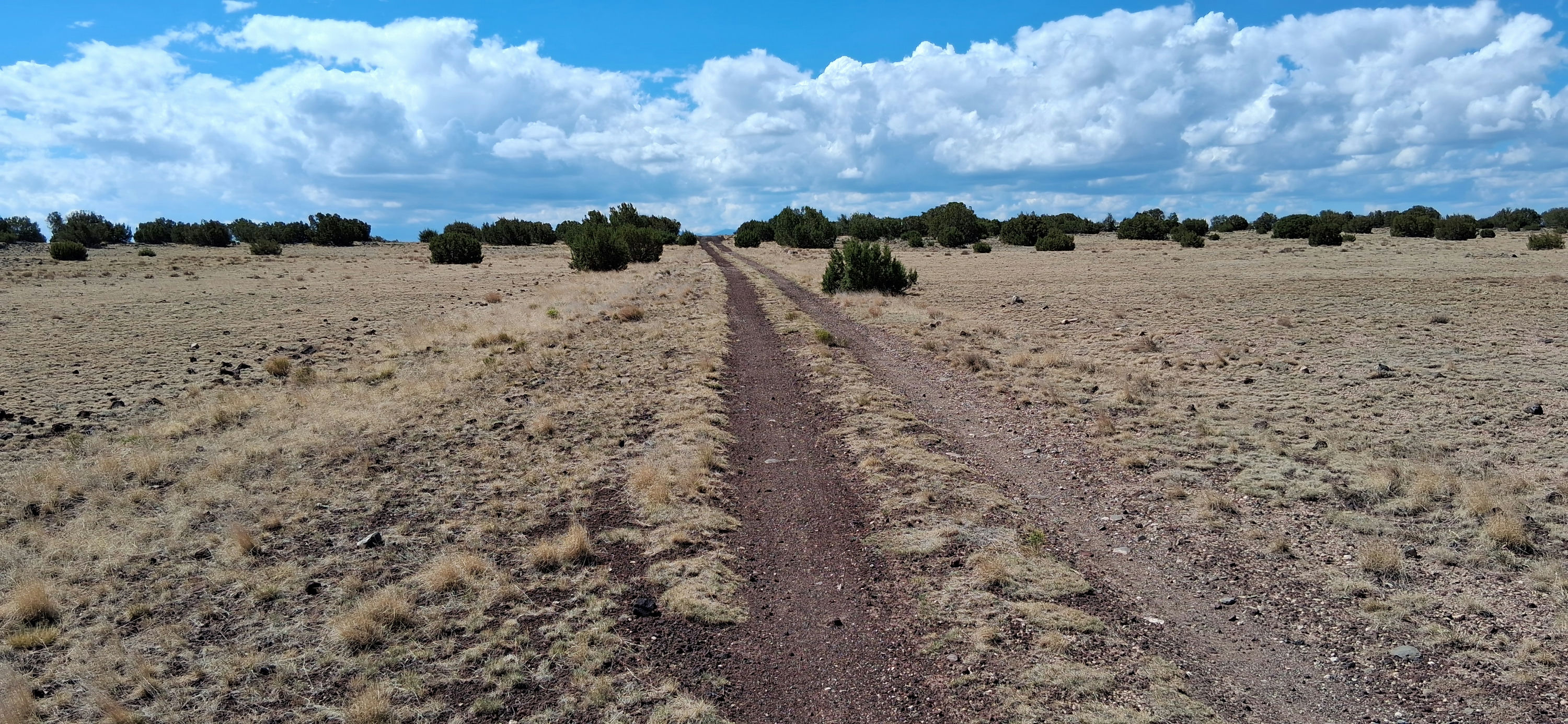 201-40-002B-C Fox Ln facing south.jpg