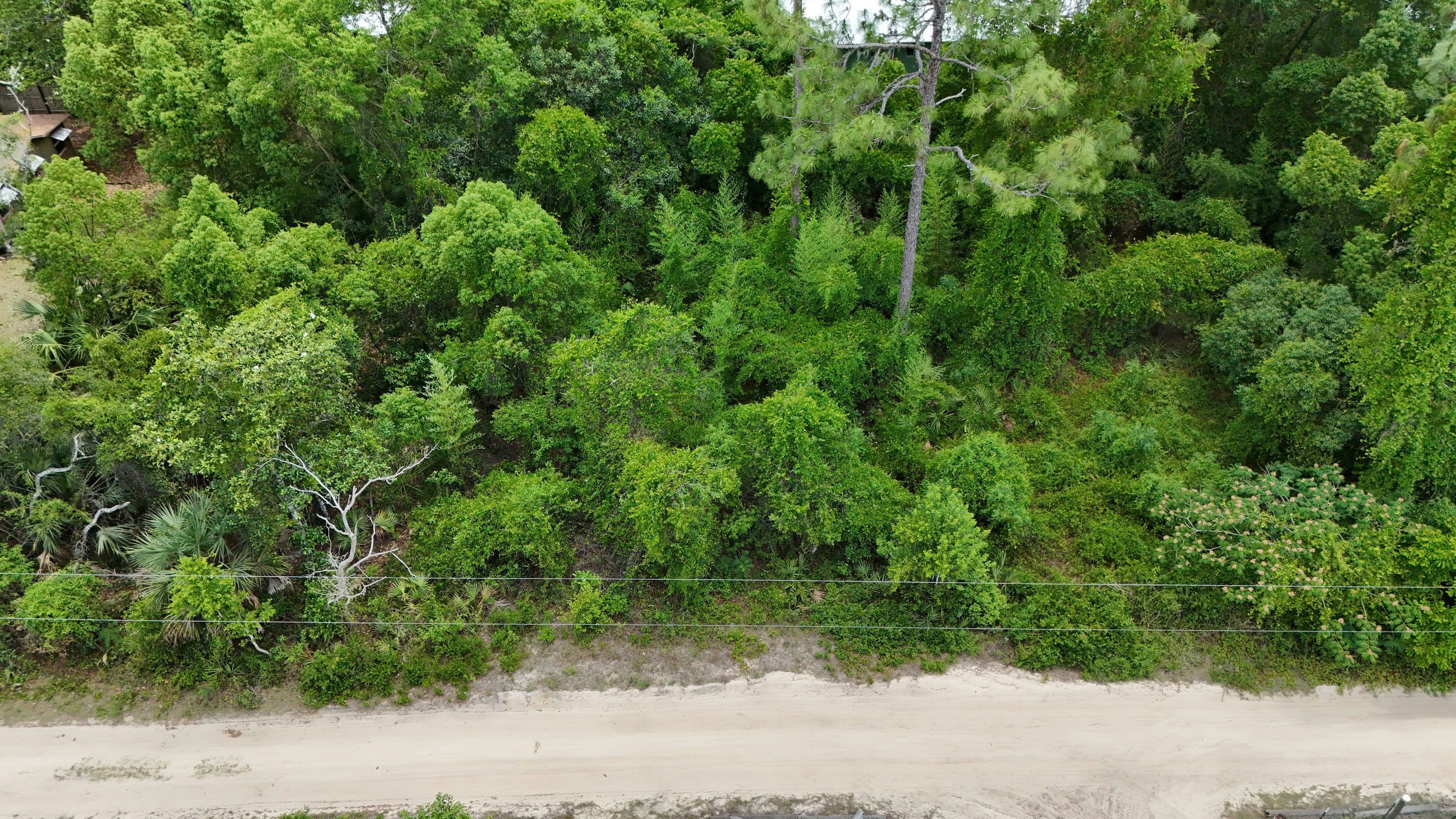 DJI_20250521142550_0088_D.JPG