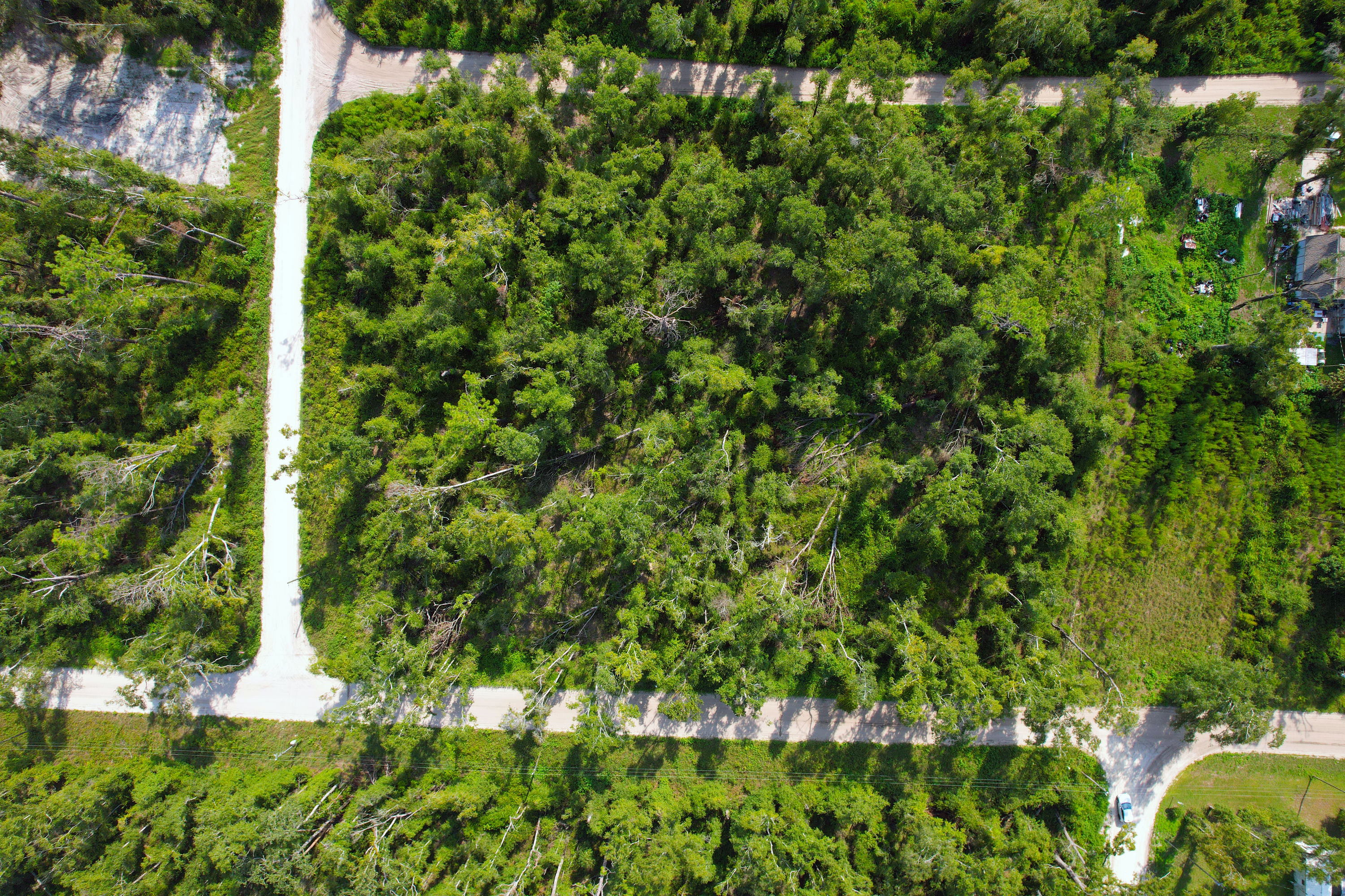DJI_0323.jpg